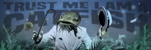 Catfish @CatfishCrypto Header by Alotta Money 2019