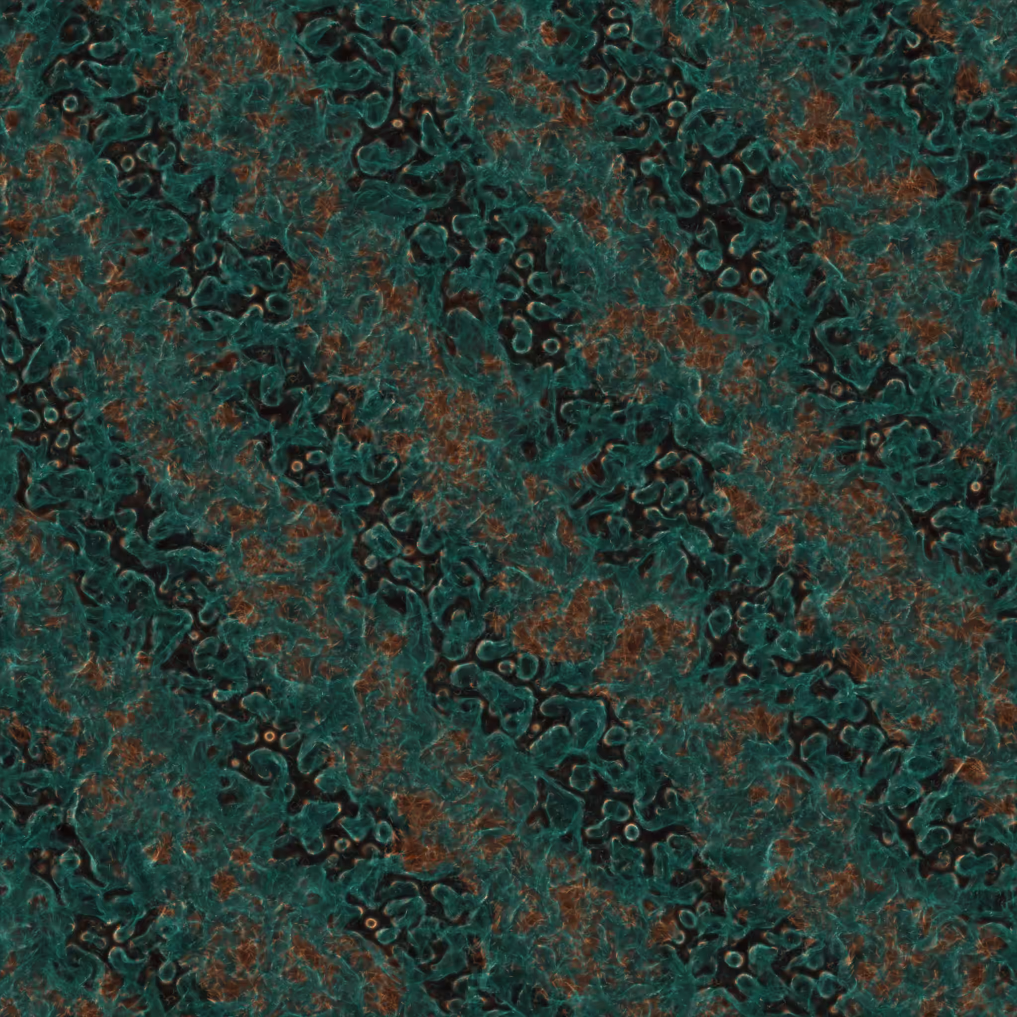 saprophyte #144