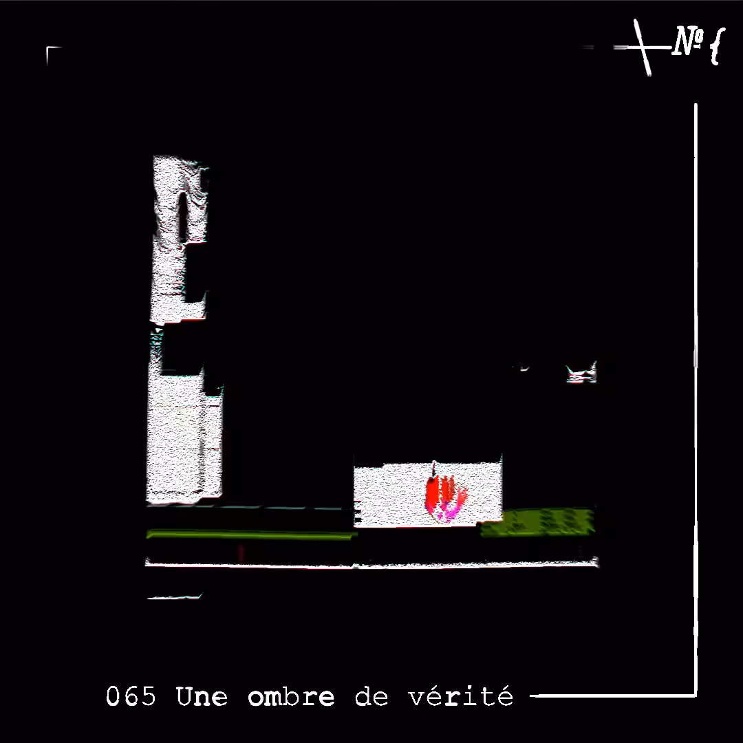 065 Une ombre de vérité
