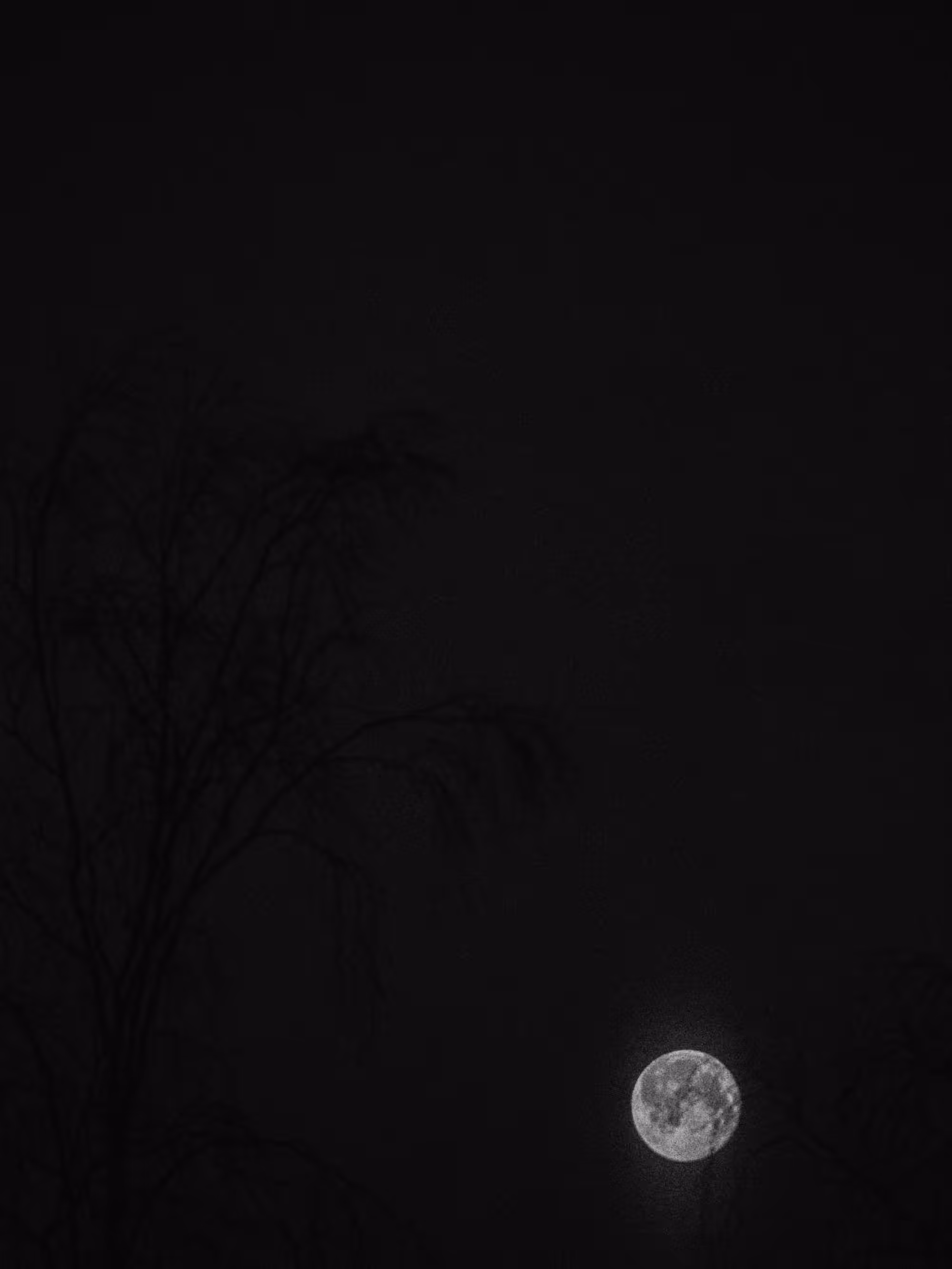 A Cold Night