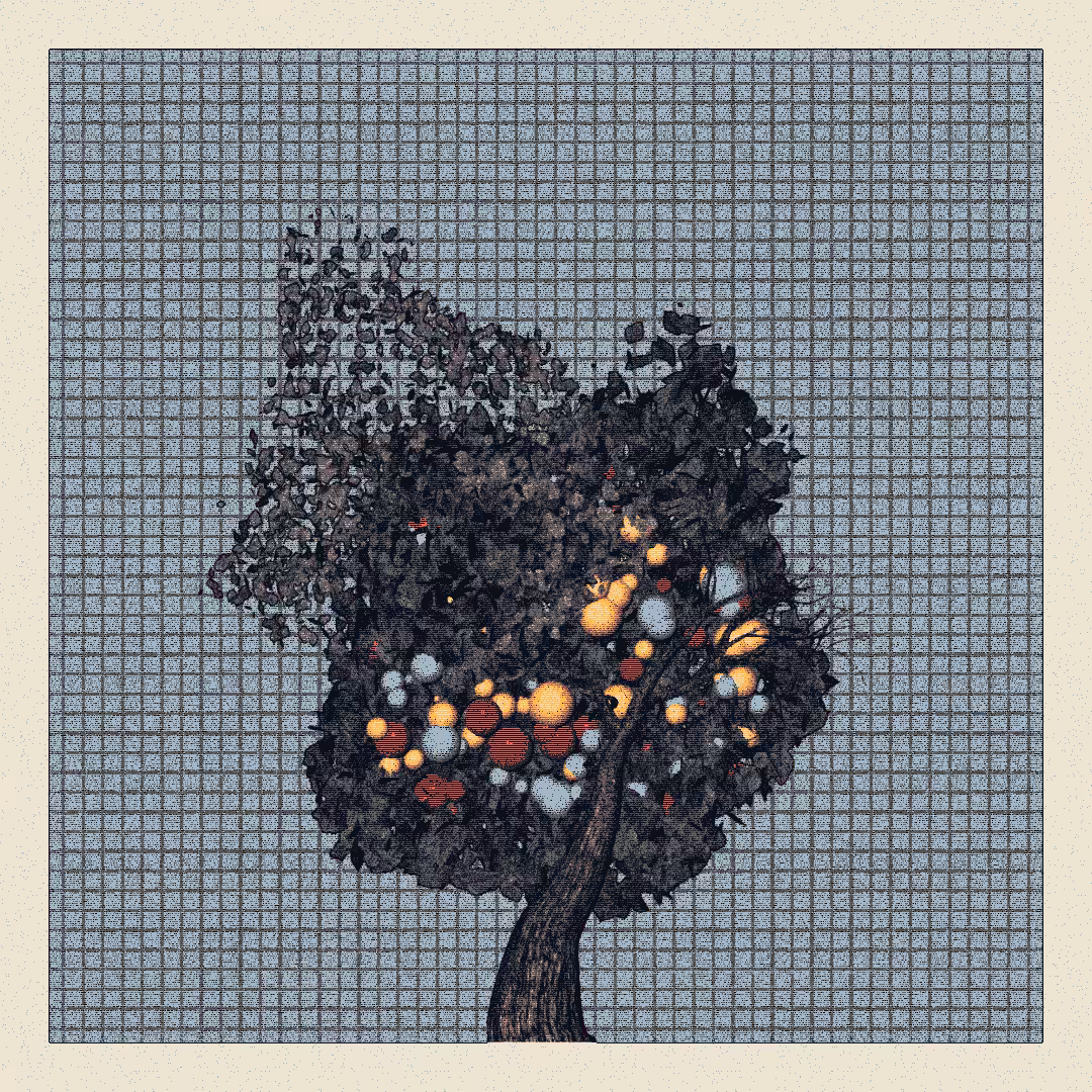 _argania[primaria] #316