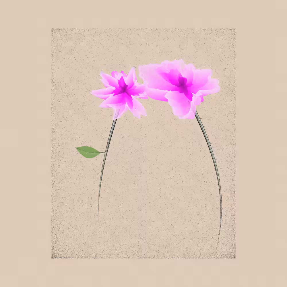 Magnolia #93