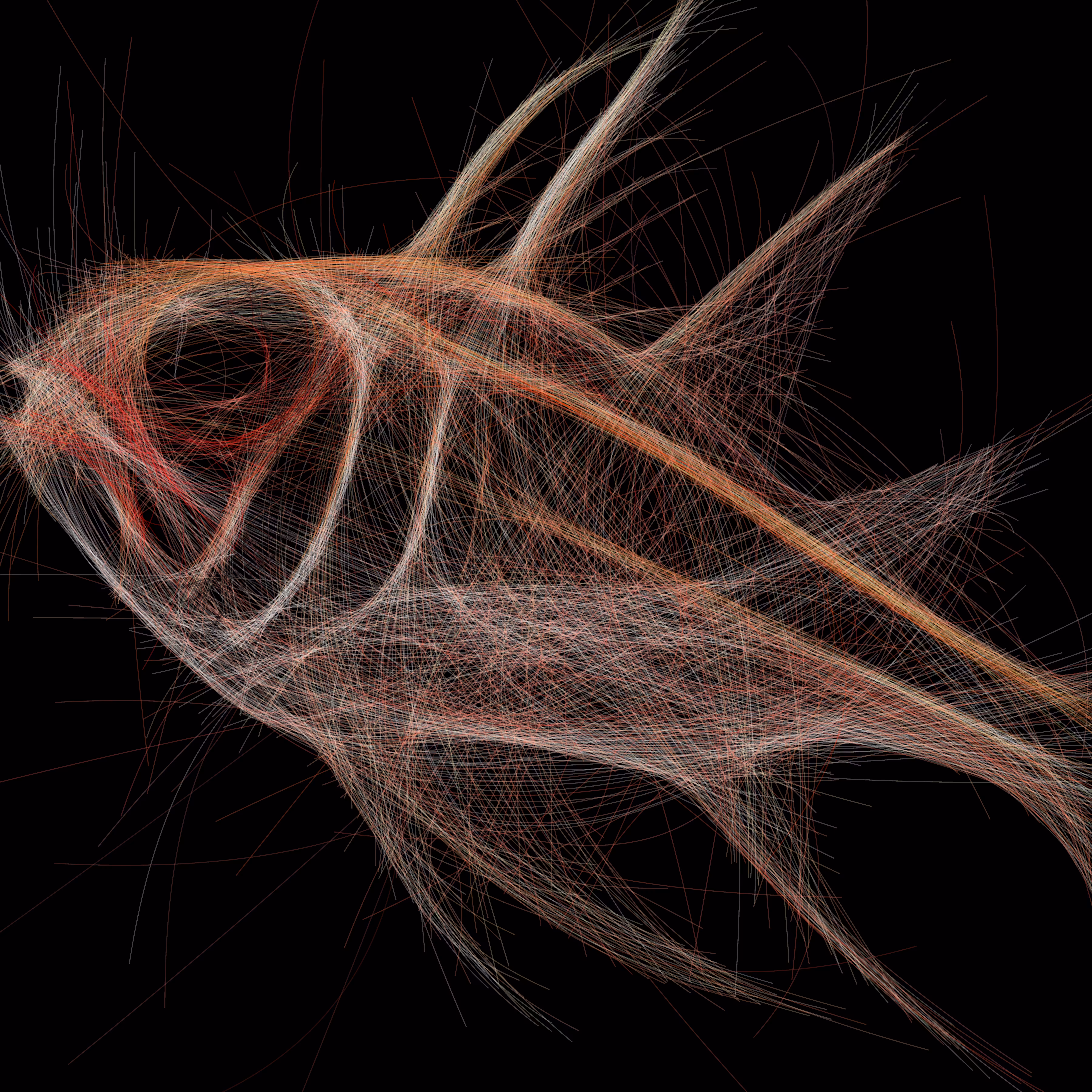 Underwater 249