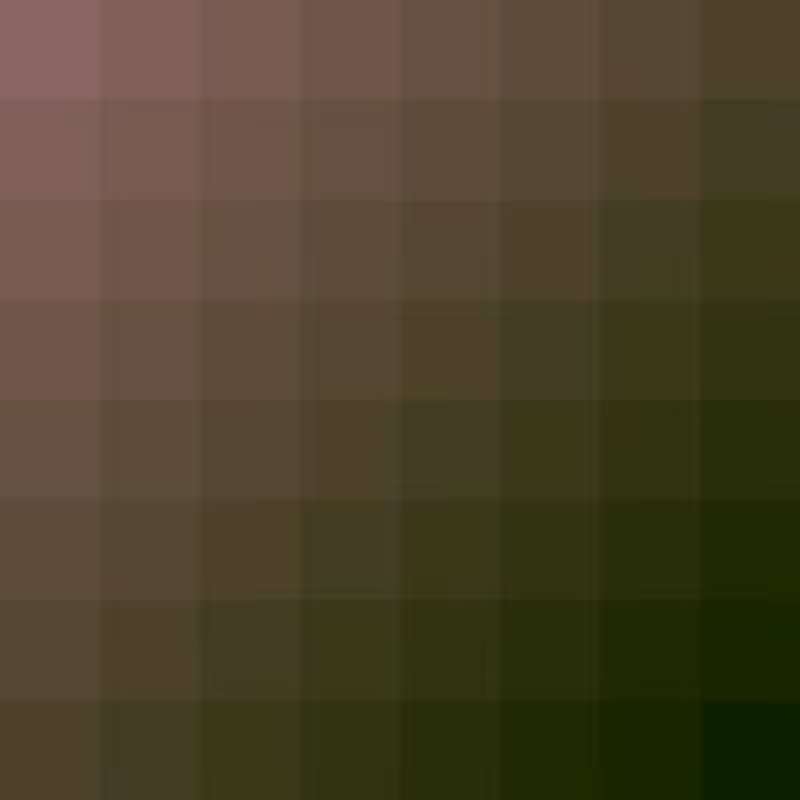 Primal Pixels #35