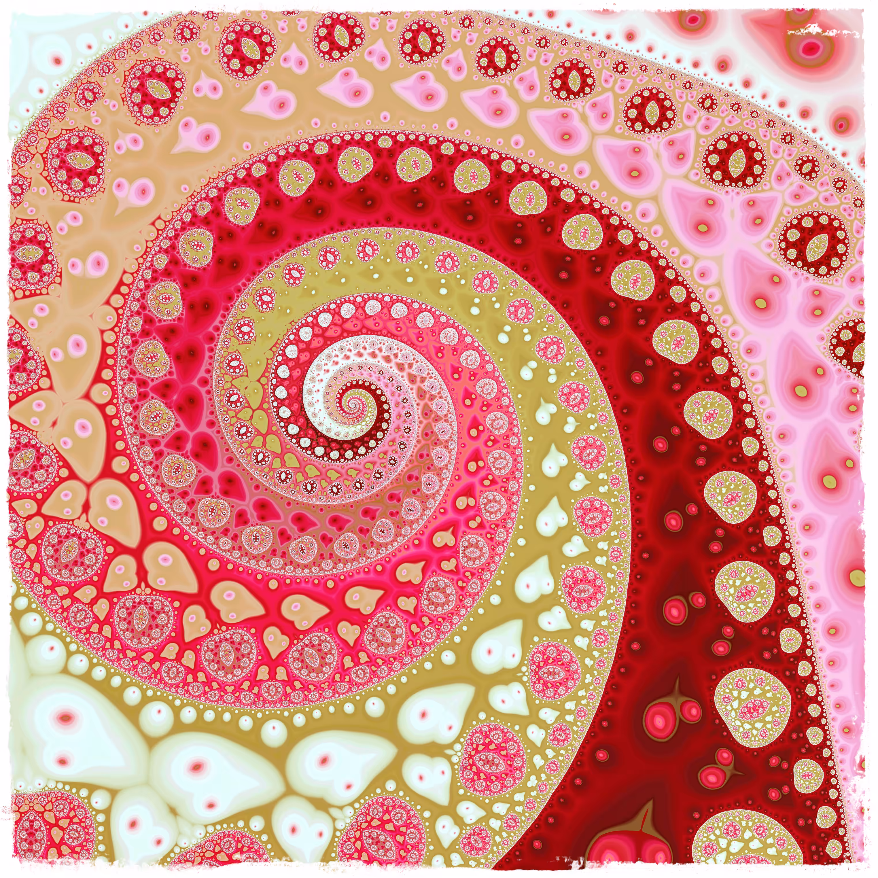 Pink octopus