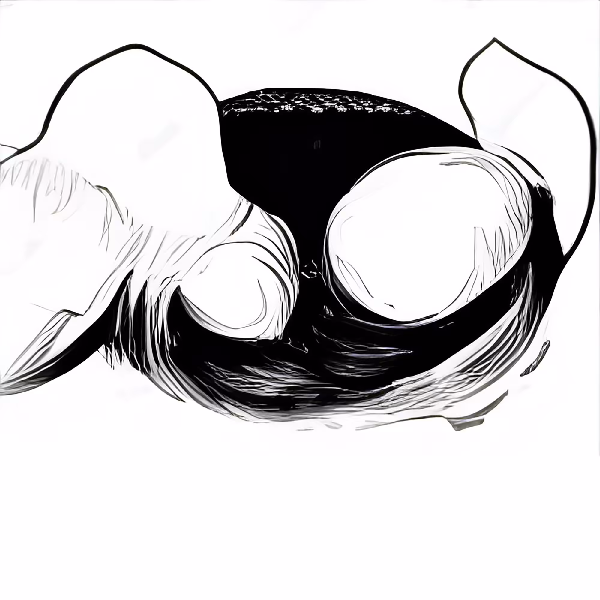 Unknown Monochrome Entity