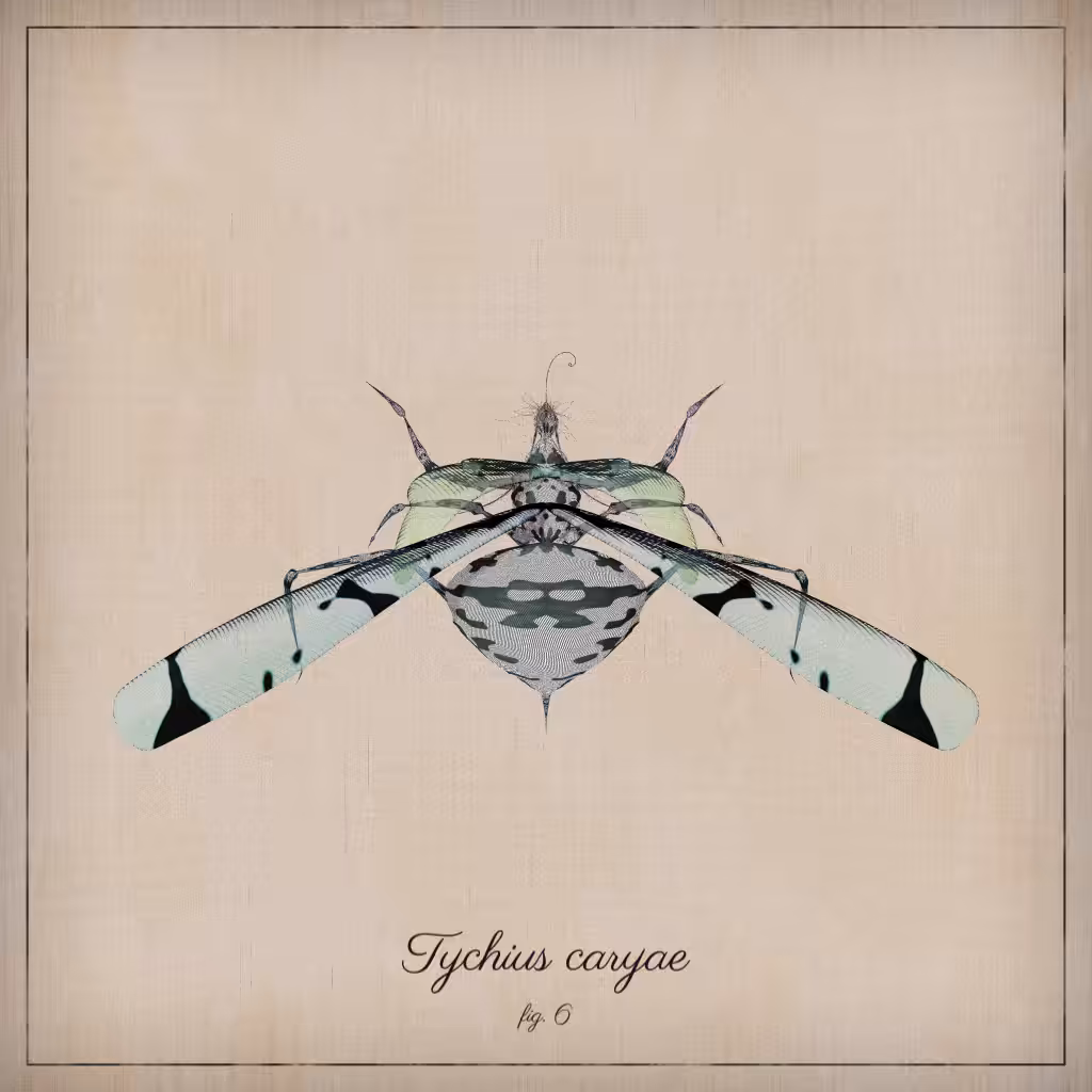 ProcGen Entomology #321