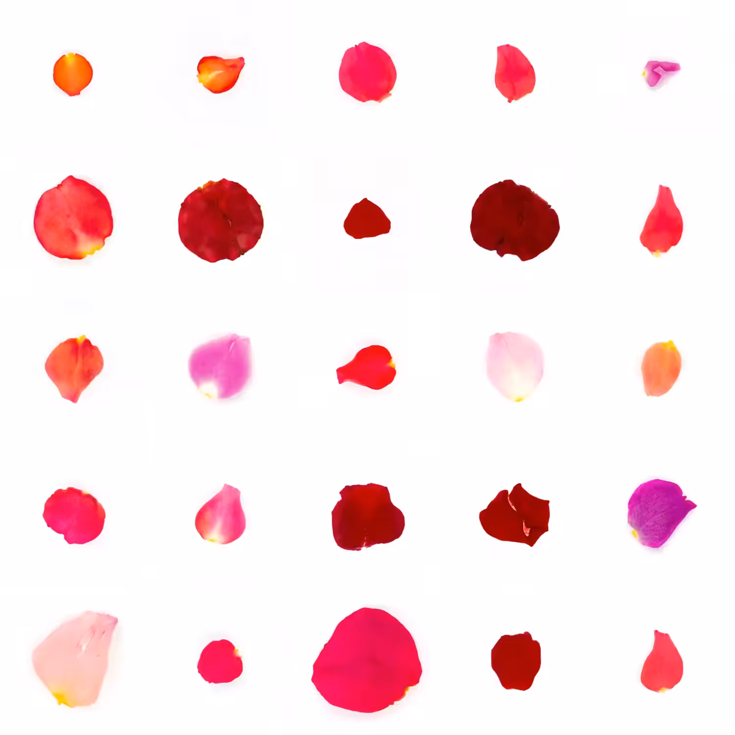Infinite Petals 5x5#21240