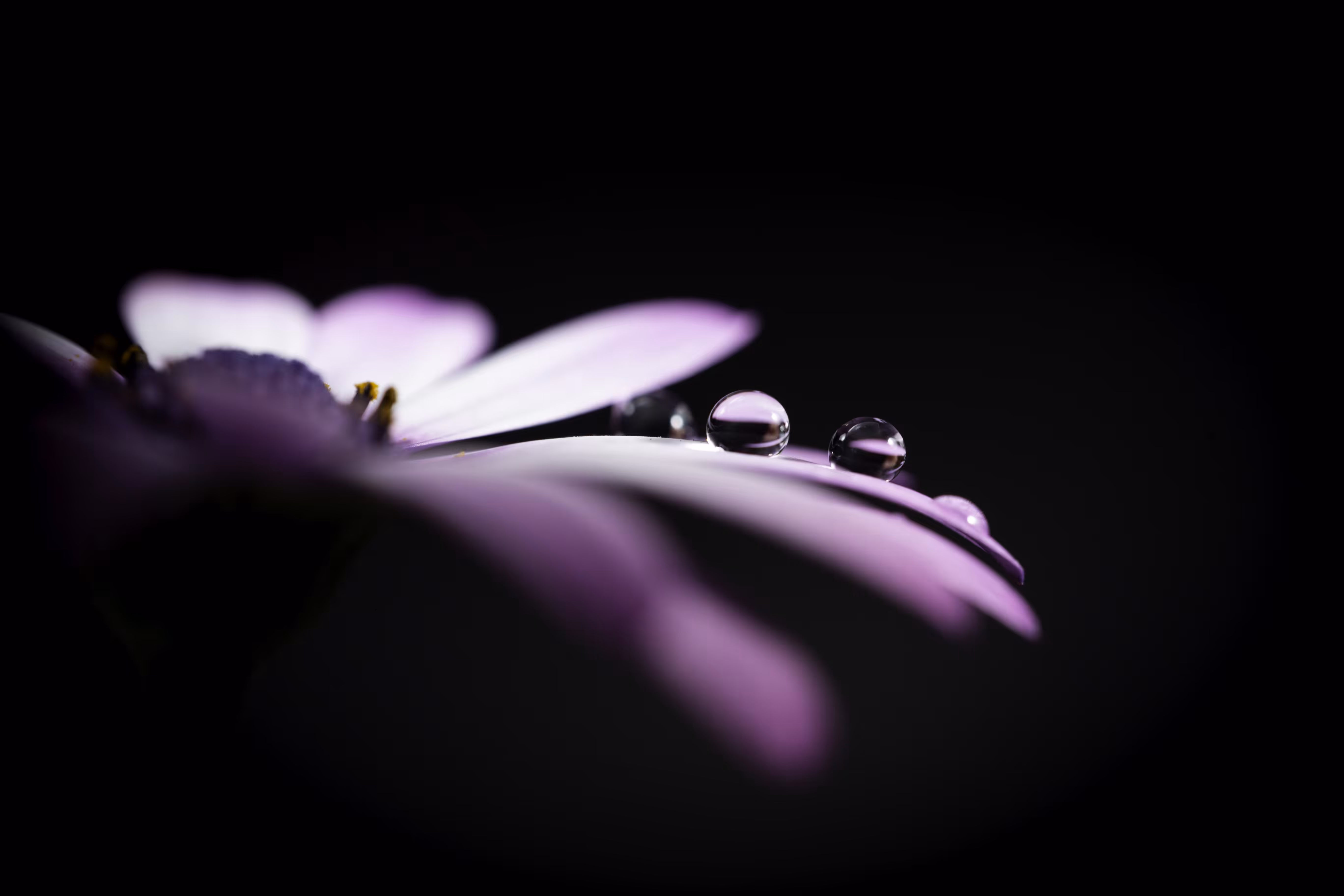 Simplicity