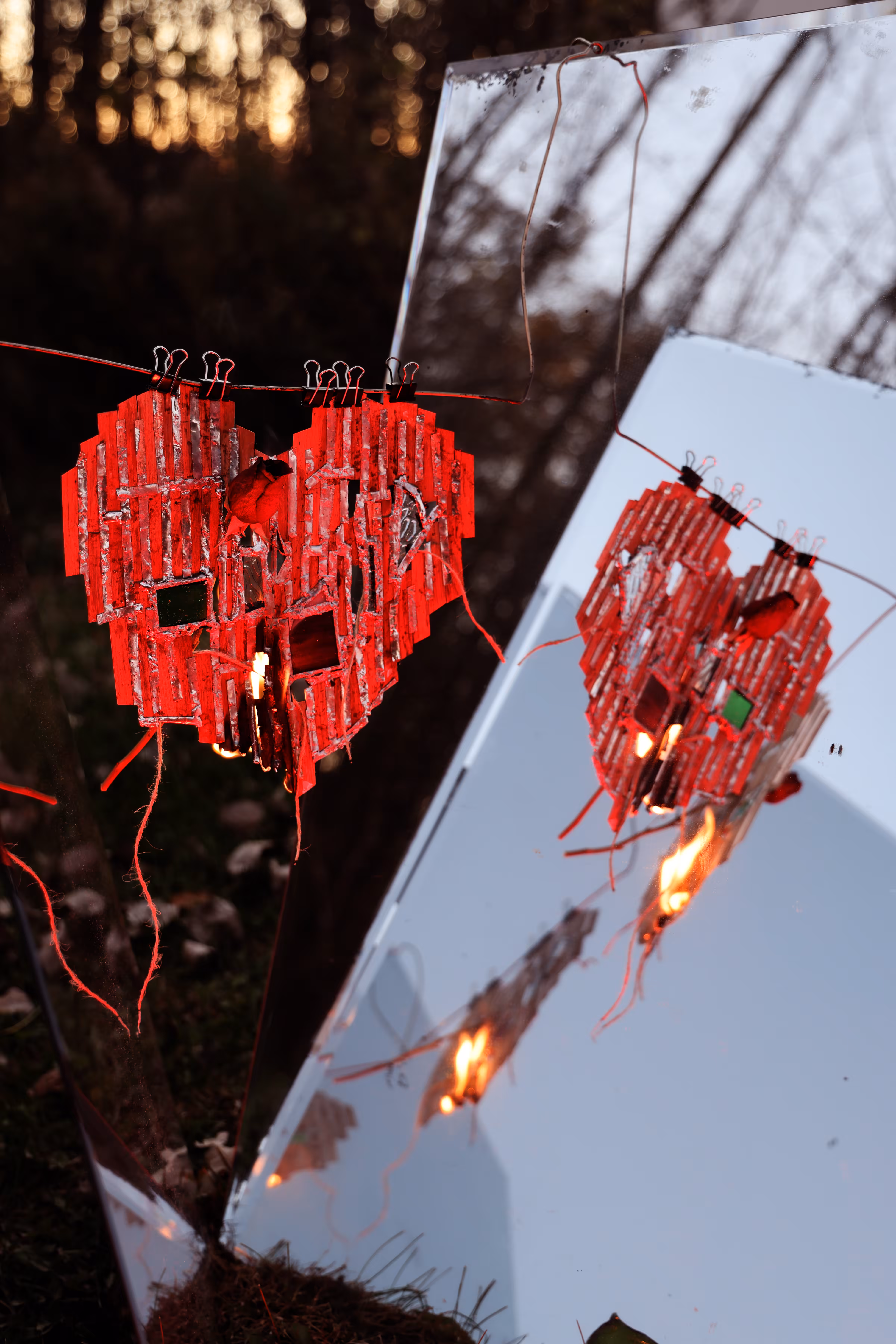 _this bleeding heart