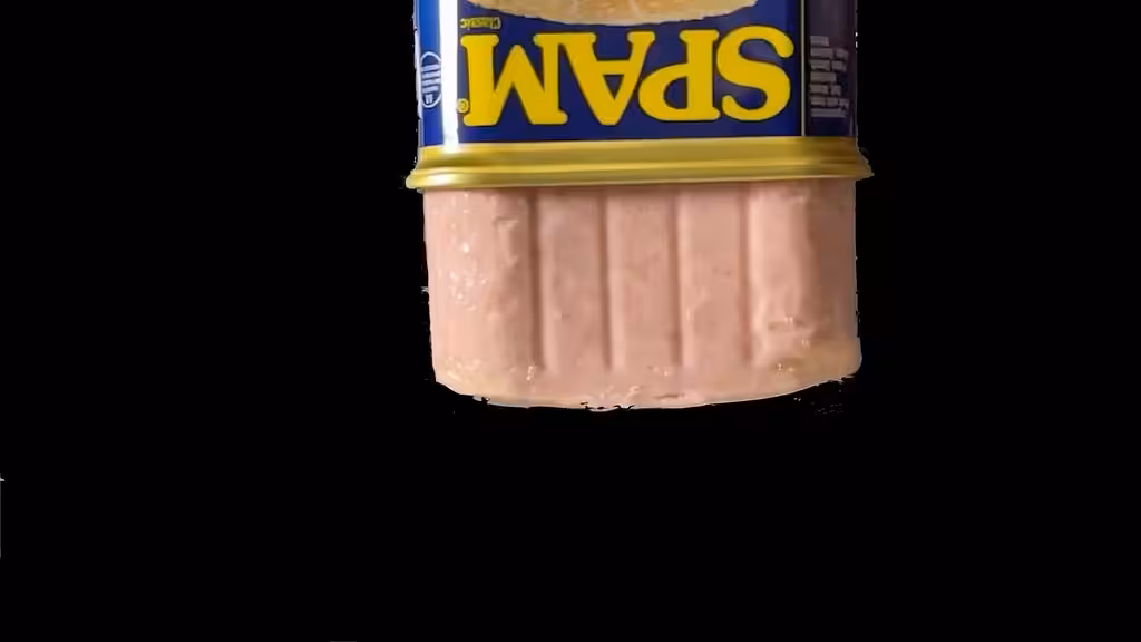 SPAM To Man Dance