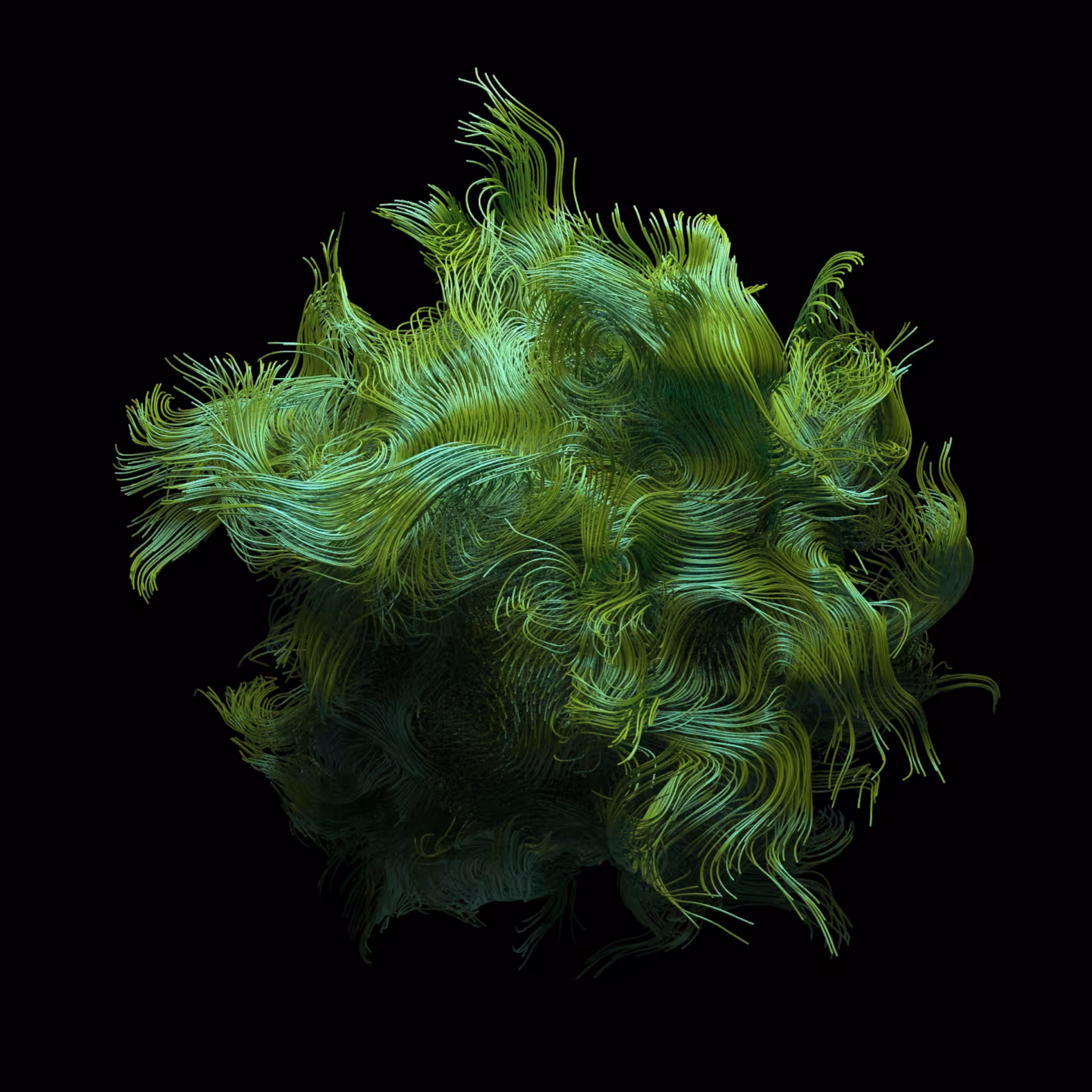 UNKNOWN MORPHO [GREEN]