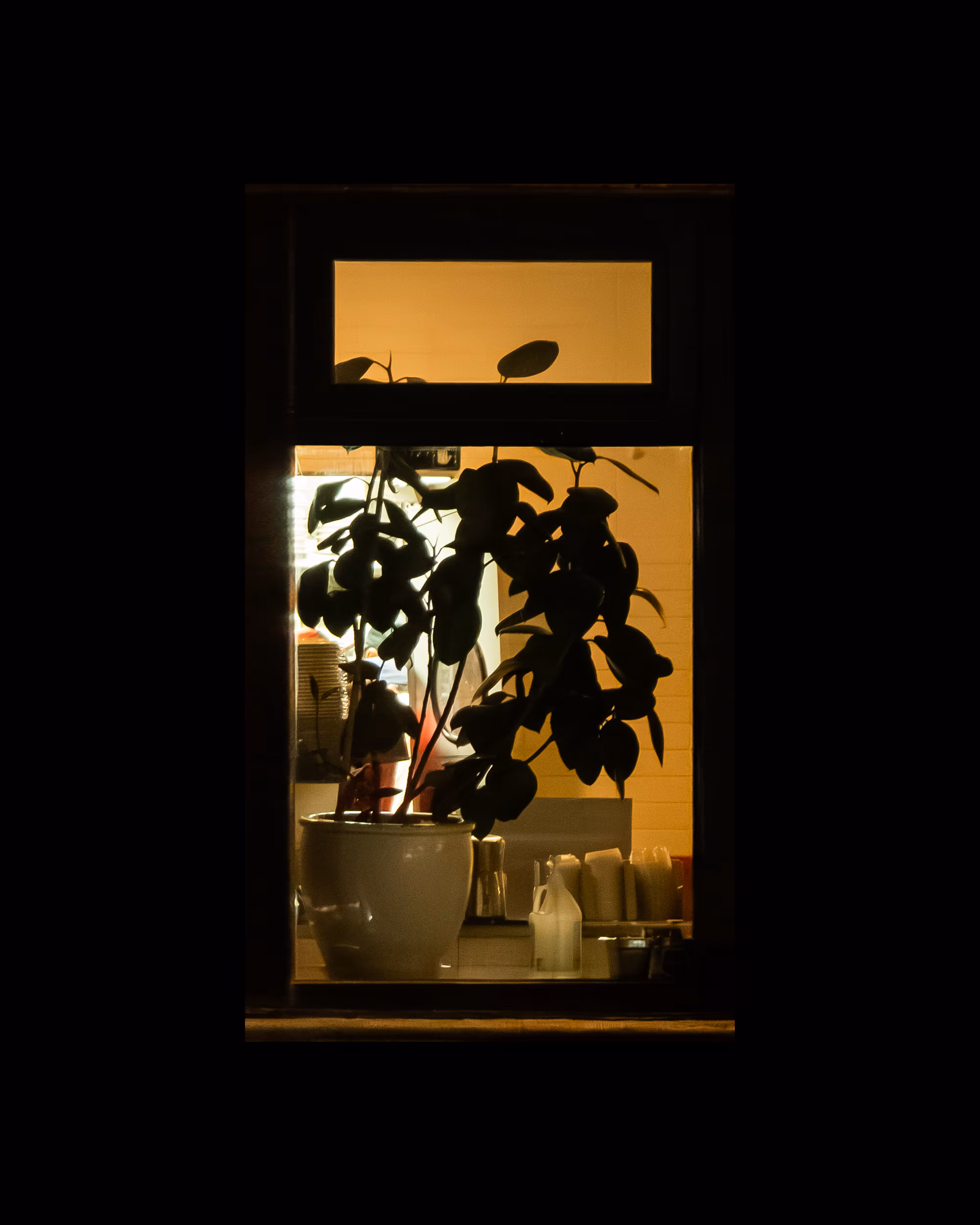 WINDOWS // NYC: WINDOW 473