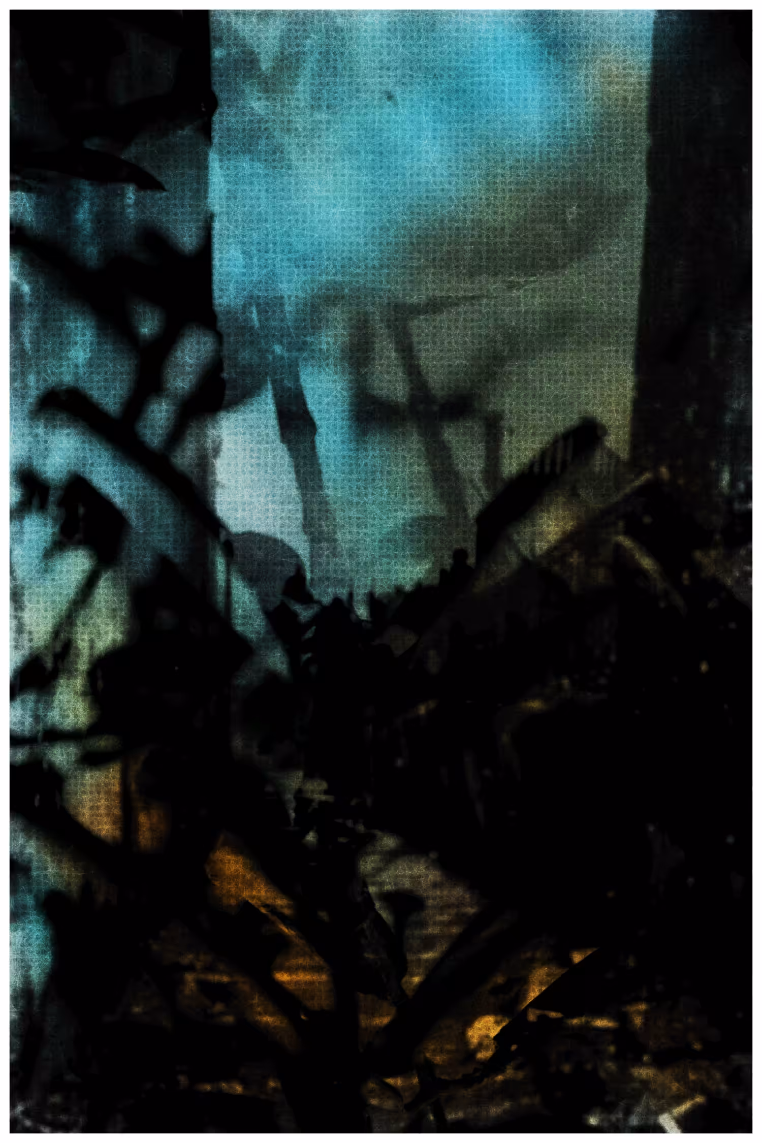 ANIMA #30