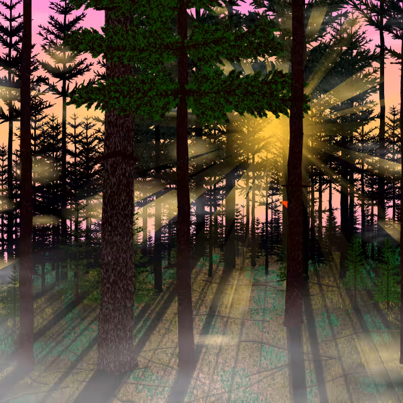 Forest Sunrise #7