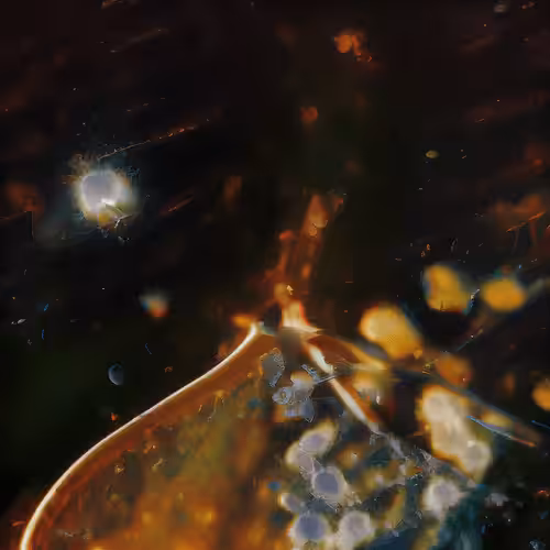 Molecular Atlas #63