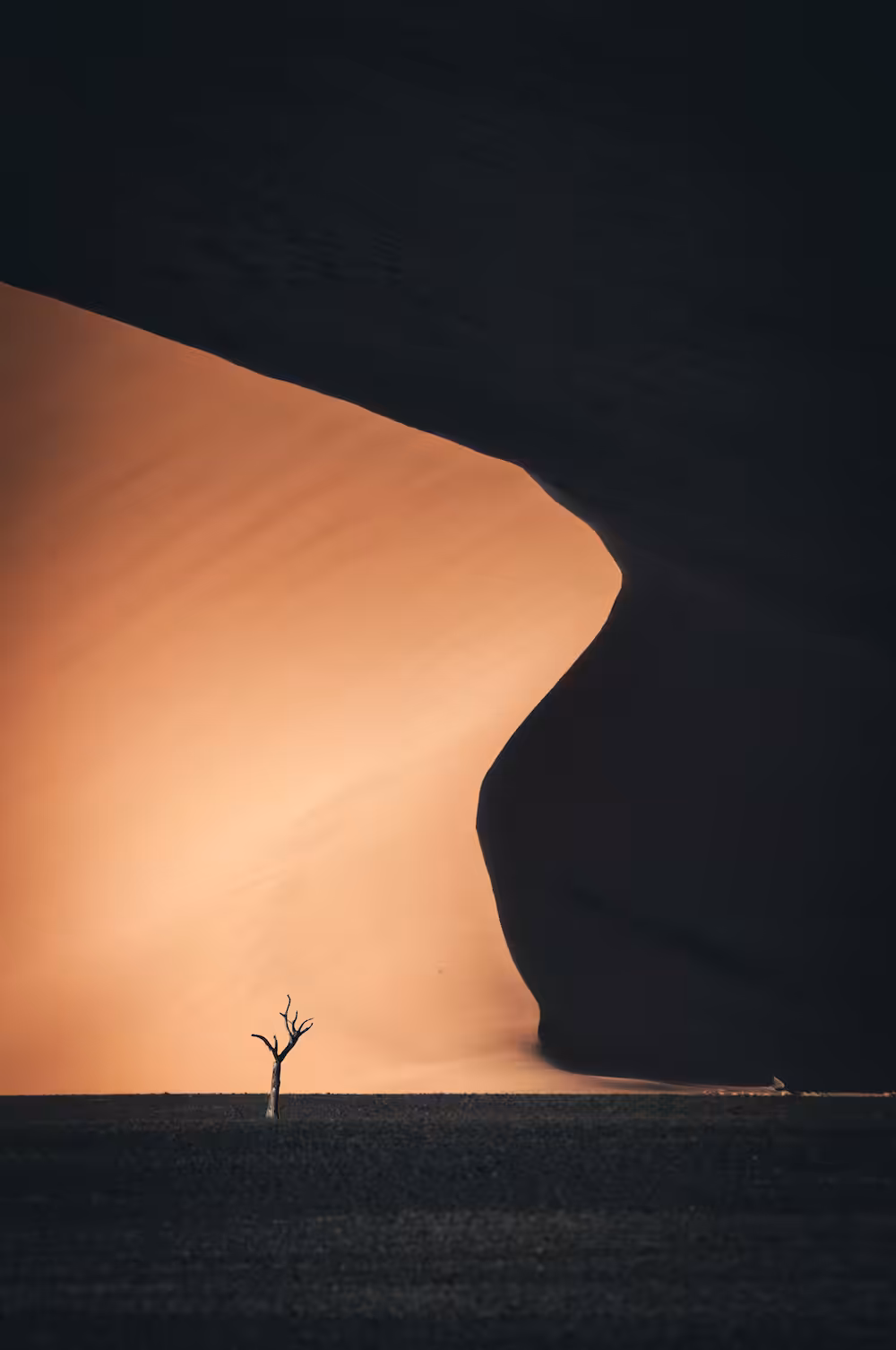 The Dune