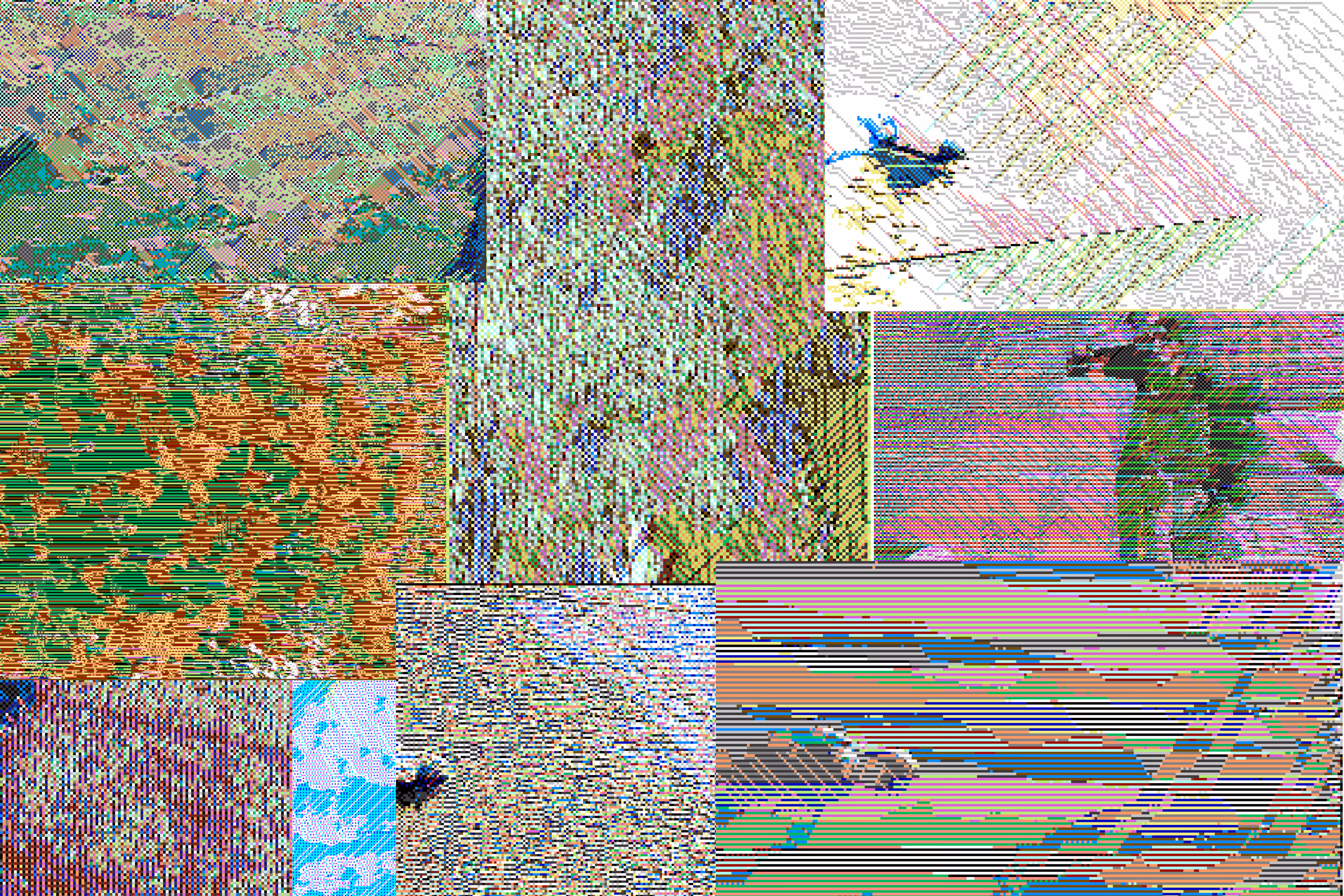 Observation 1