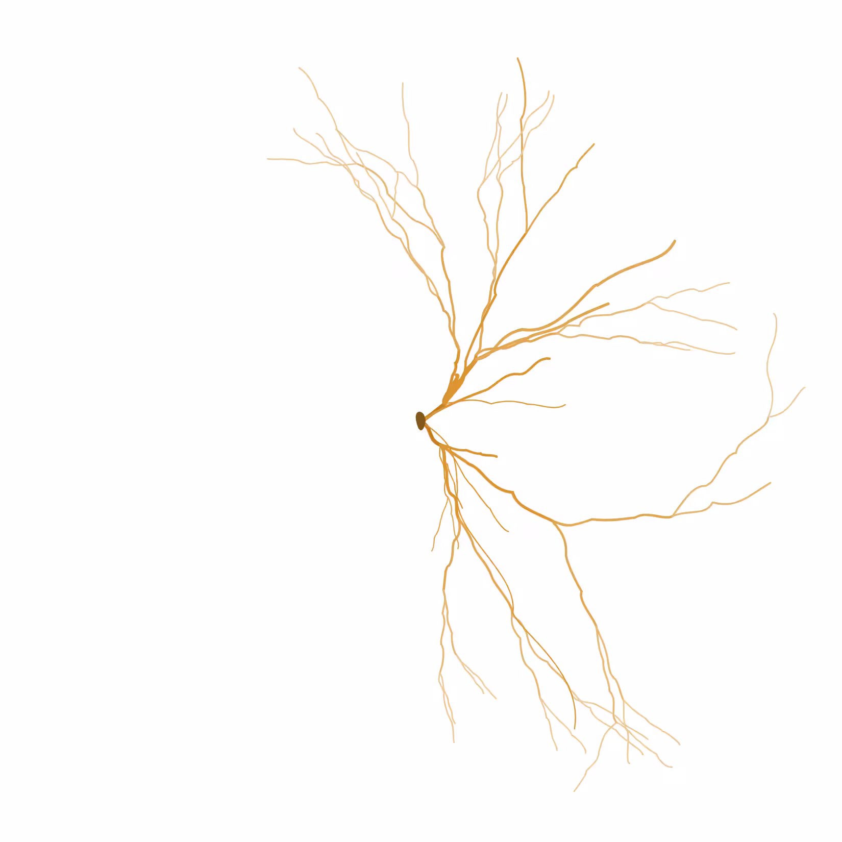 Ghost Forest Seedling #515