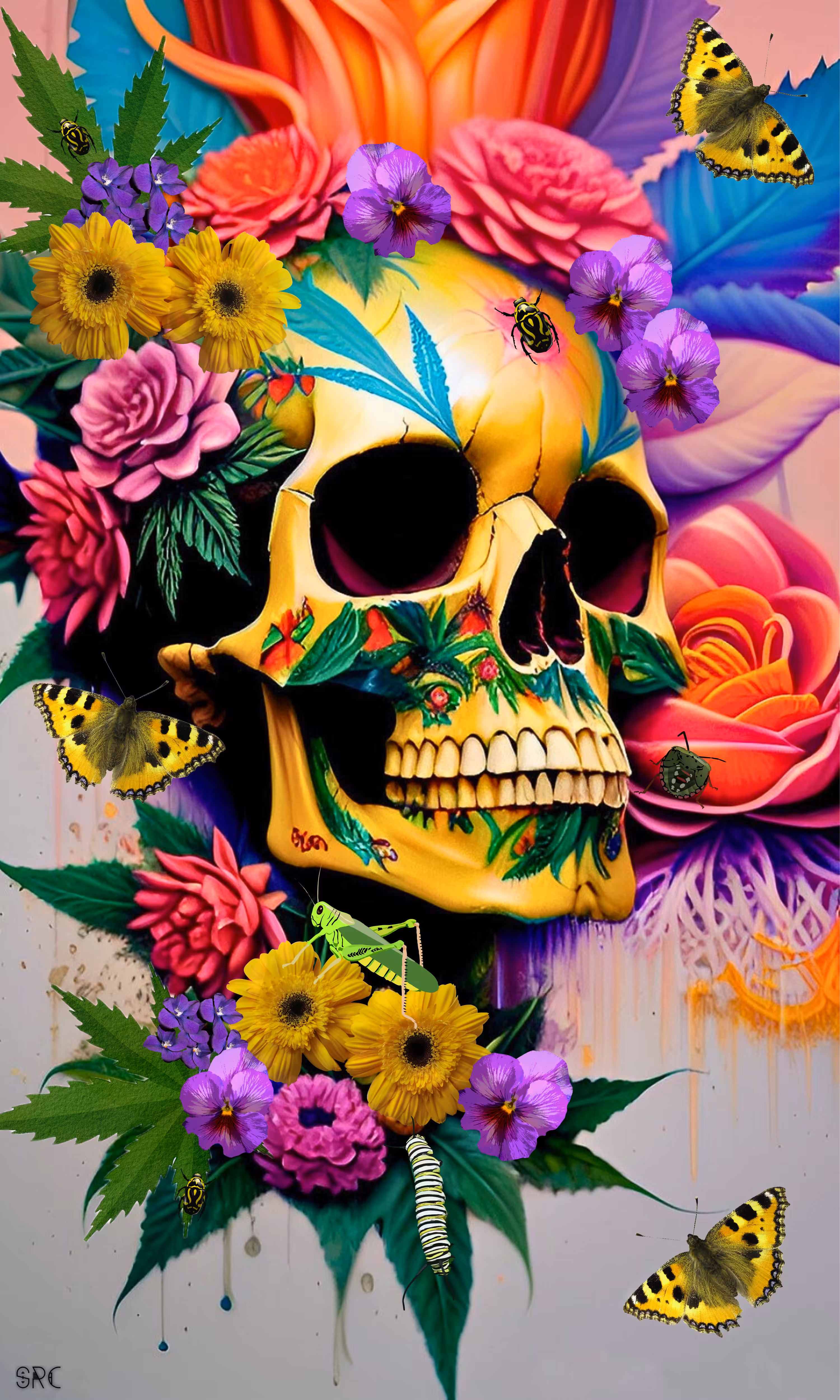 Canna Skull