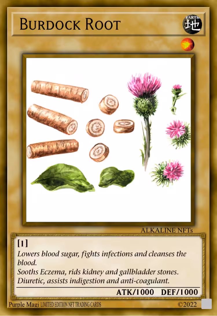 Burdock Root
