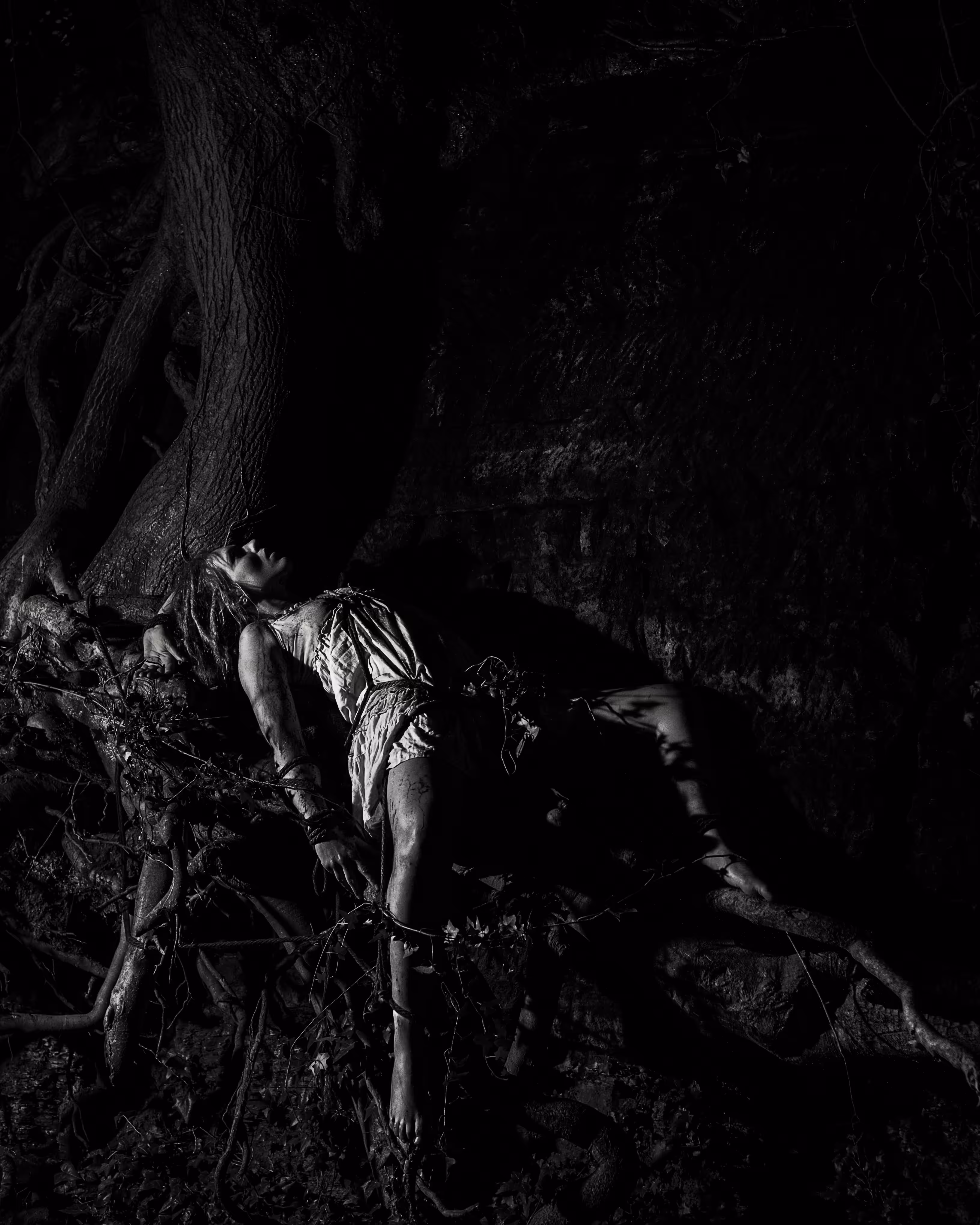 The Fallen