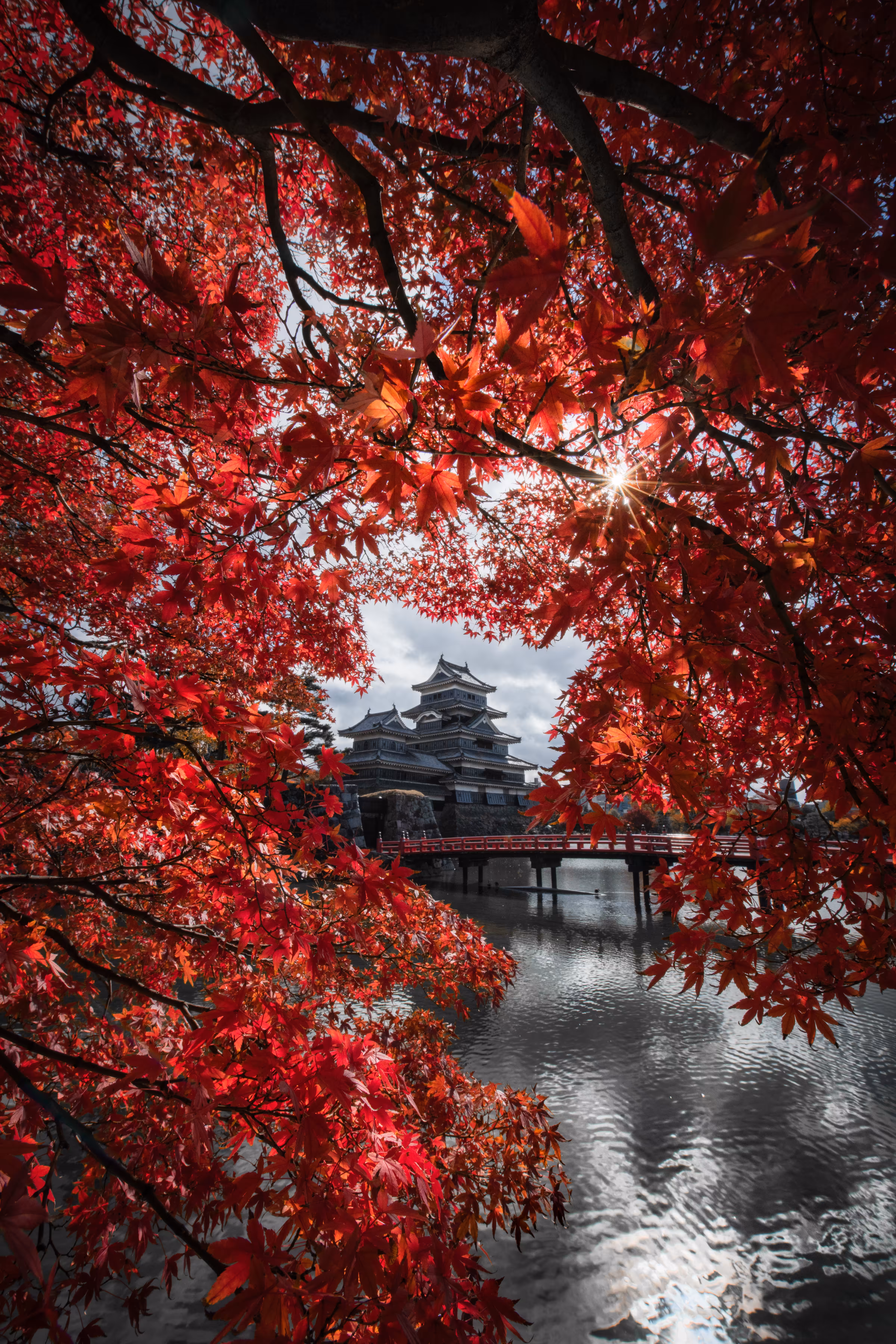 「烈火」Fiery red