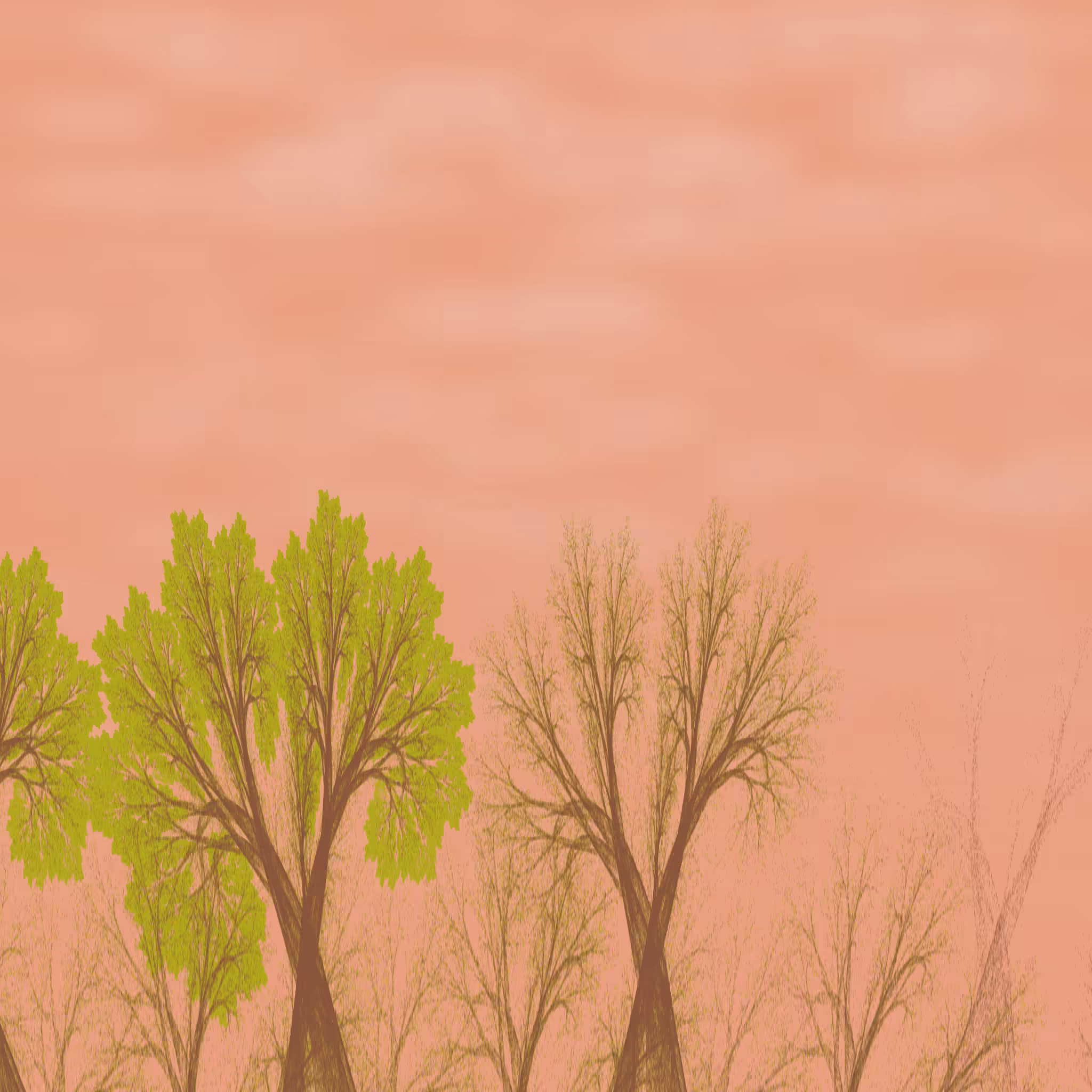 Chaotic Arboreum #4