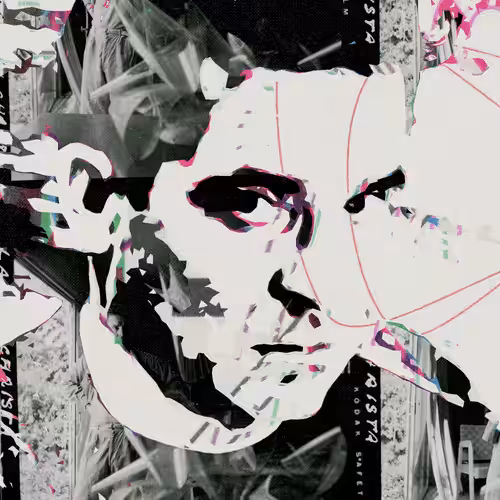 THE GENERATIVE PORTRAIT COLLECTION OF ROBERT MALLARY: Generative Portrait of Robert Mallary #263