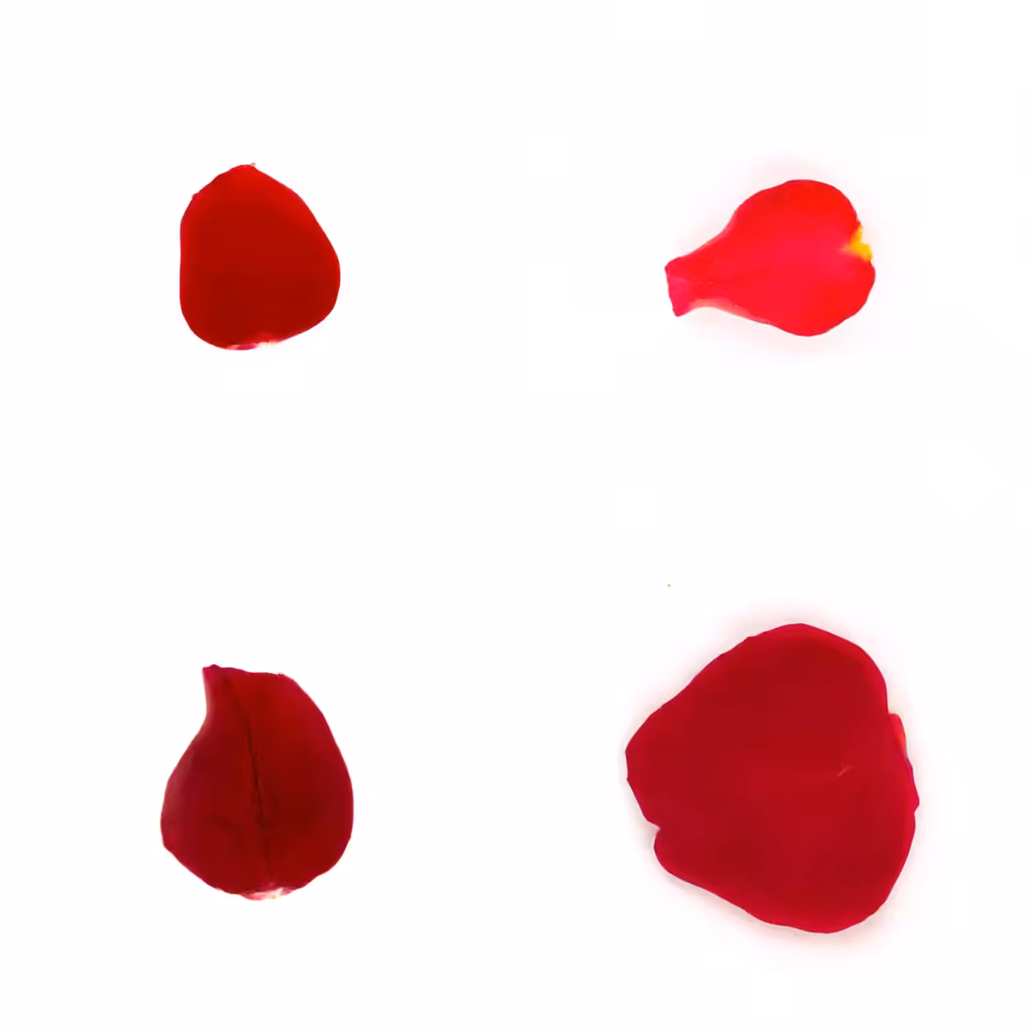 Infinite Petals 2x2#3490