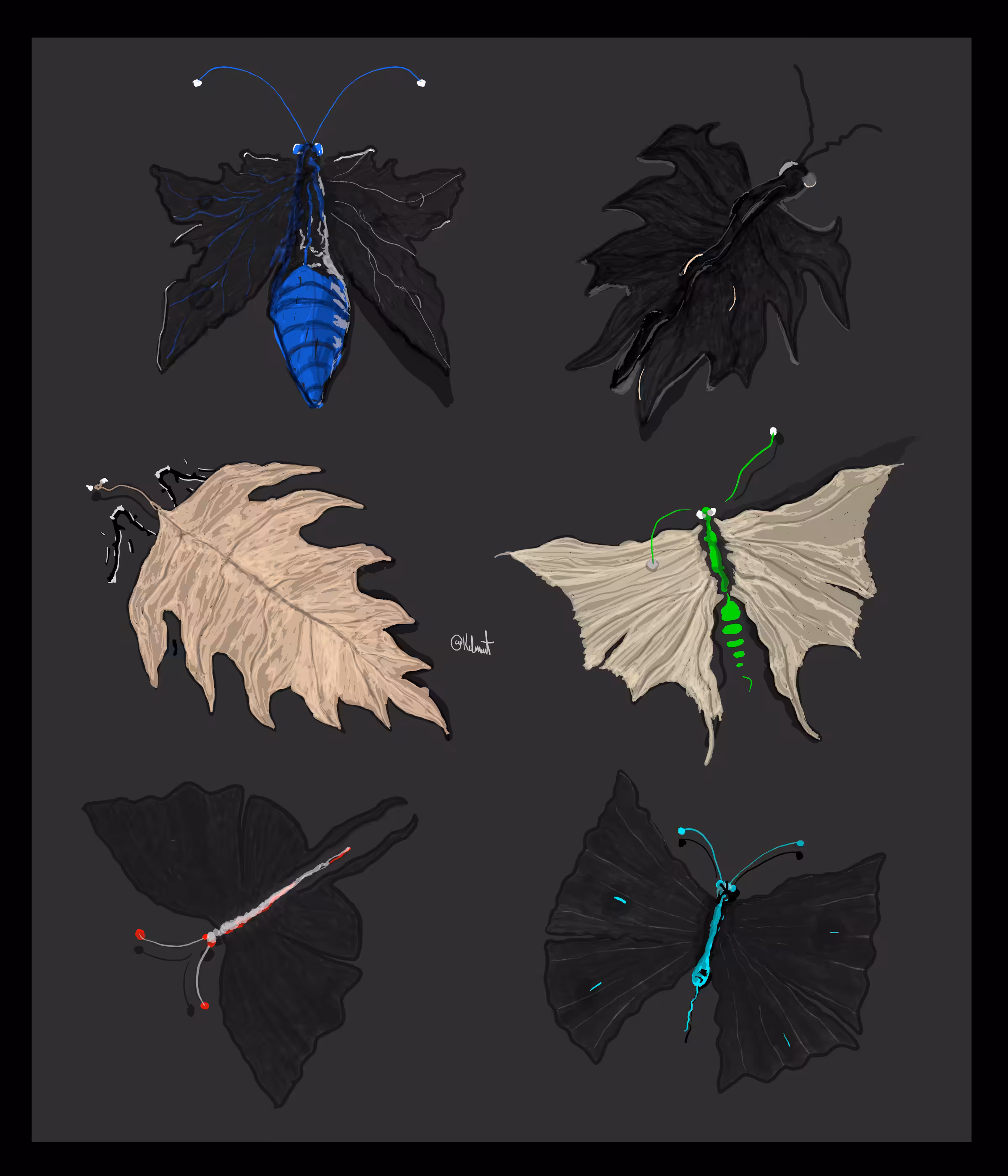 Leaves of Moths 1
