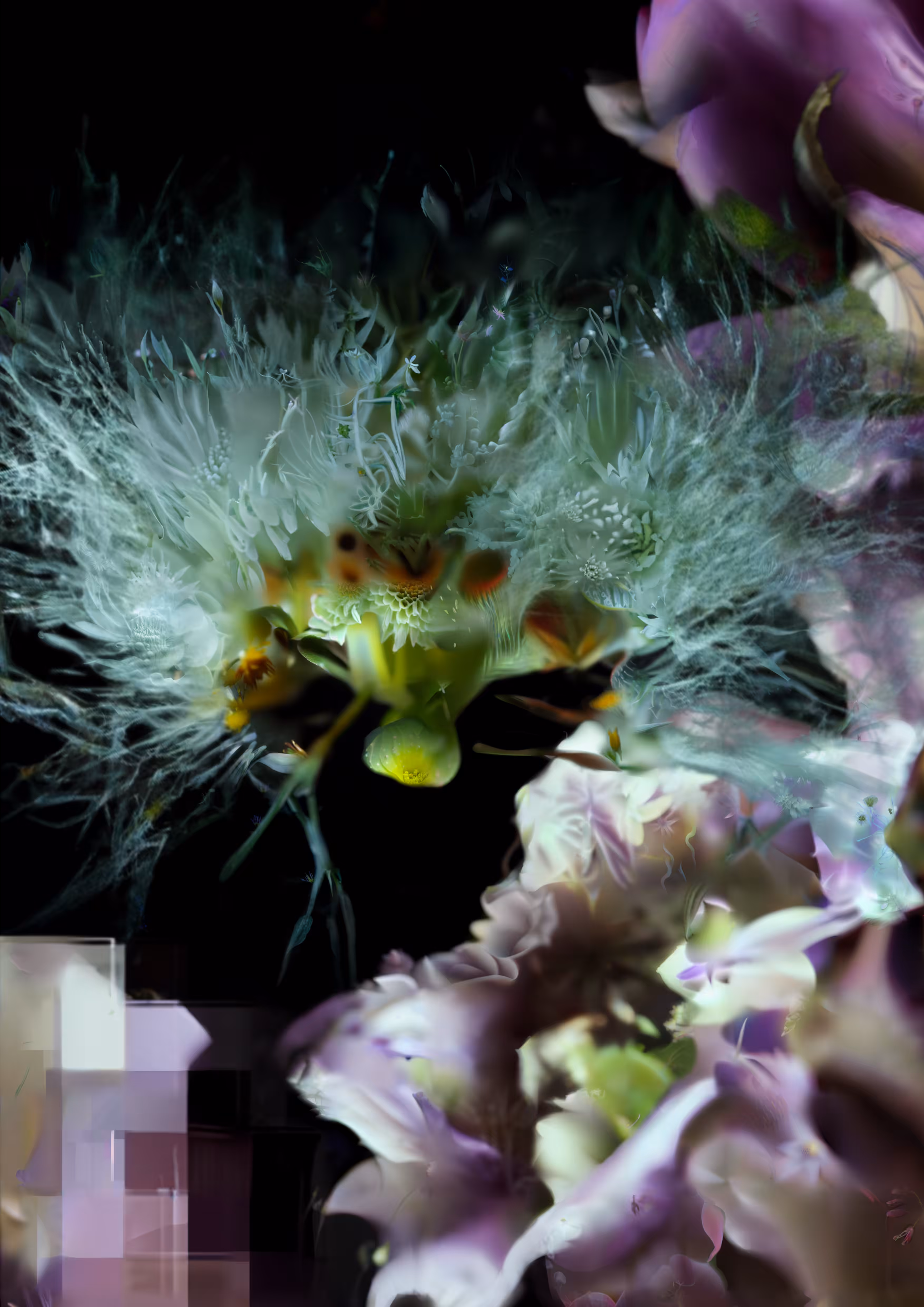 83 seeds from a vanishing mountain #6