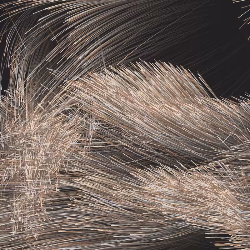 Strange Attractor Swarm #49