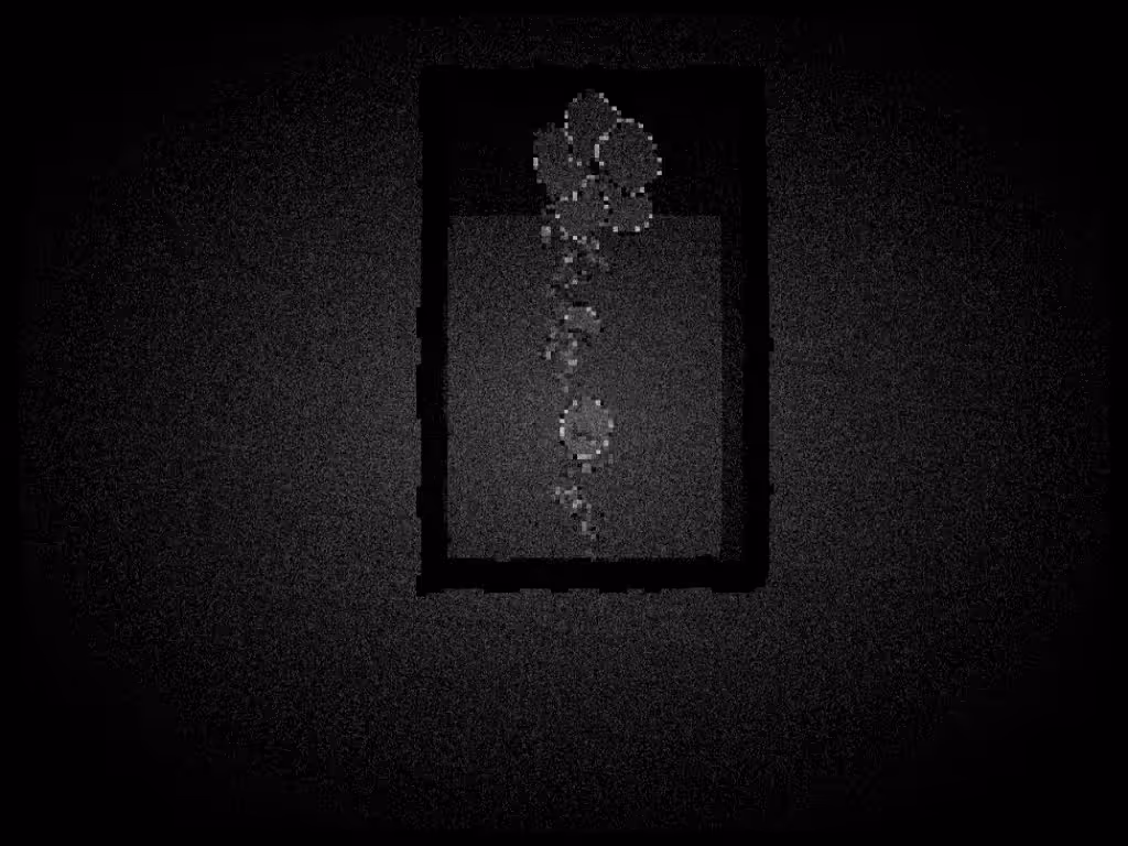testing-premint #7