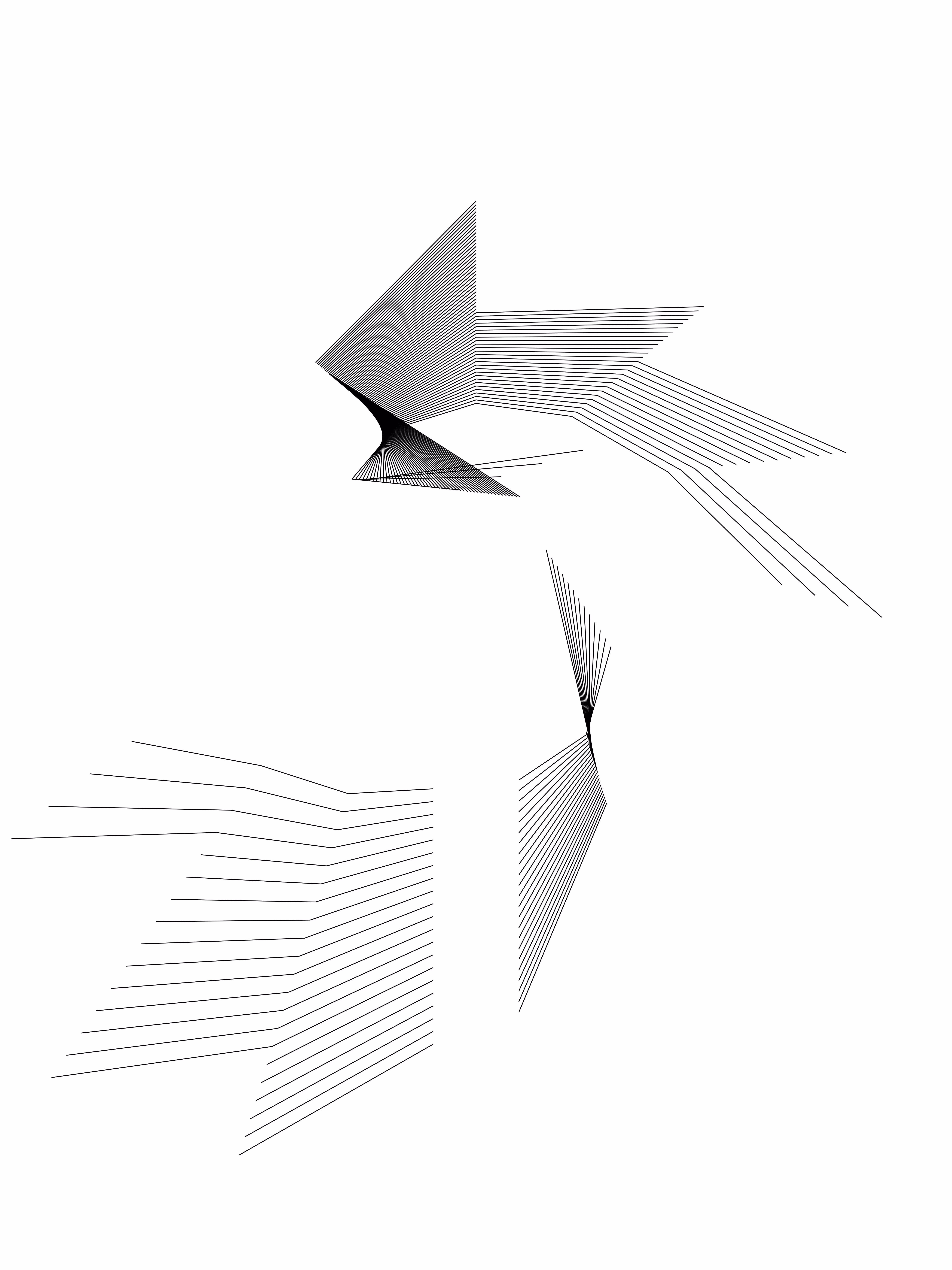 rooster