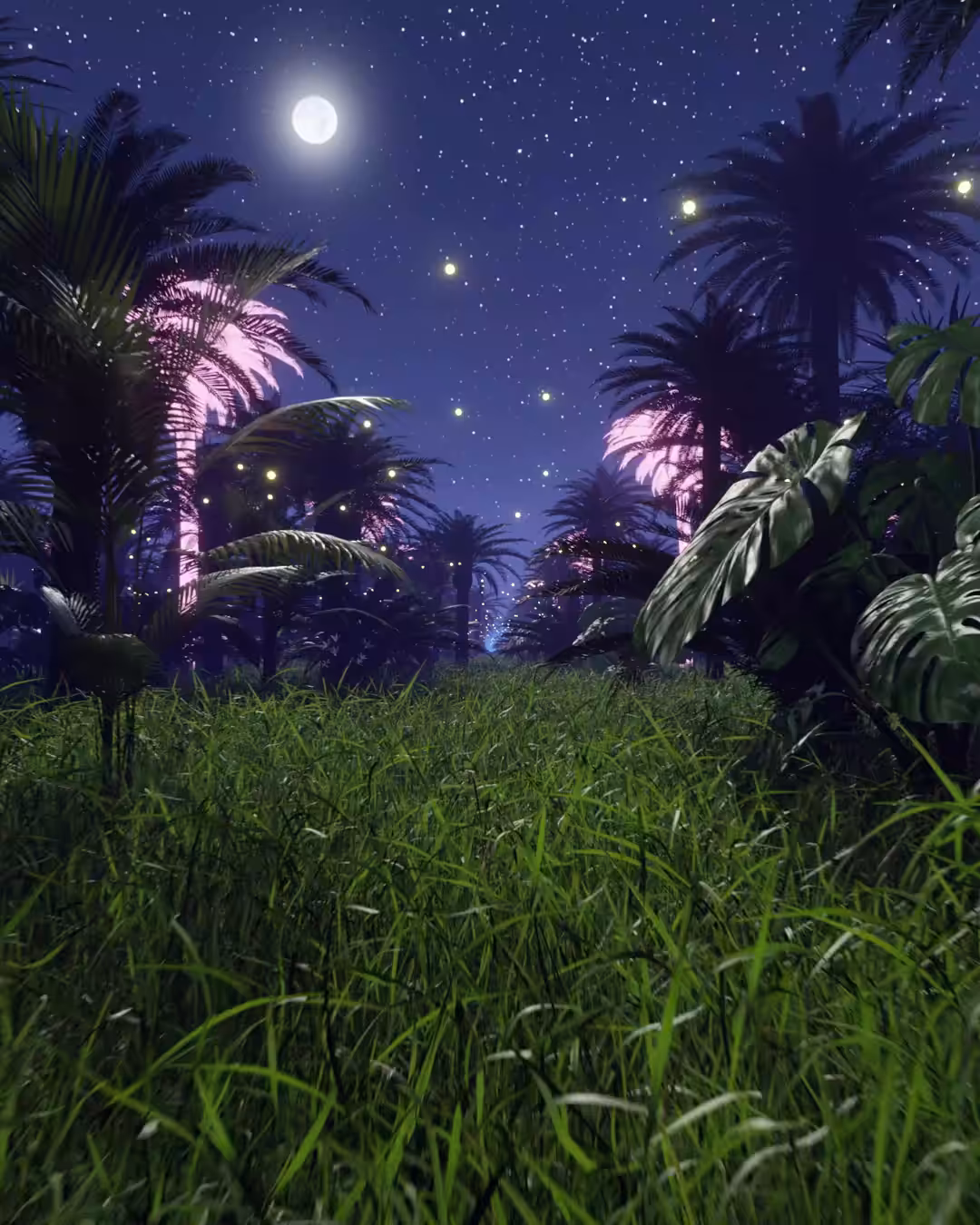 Night Flight