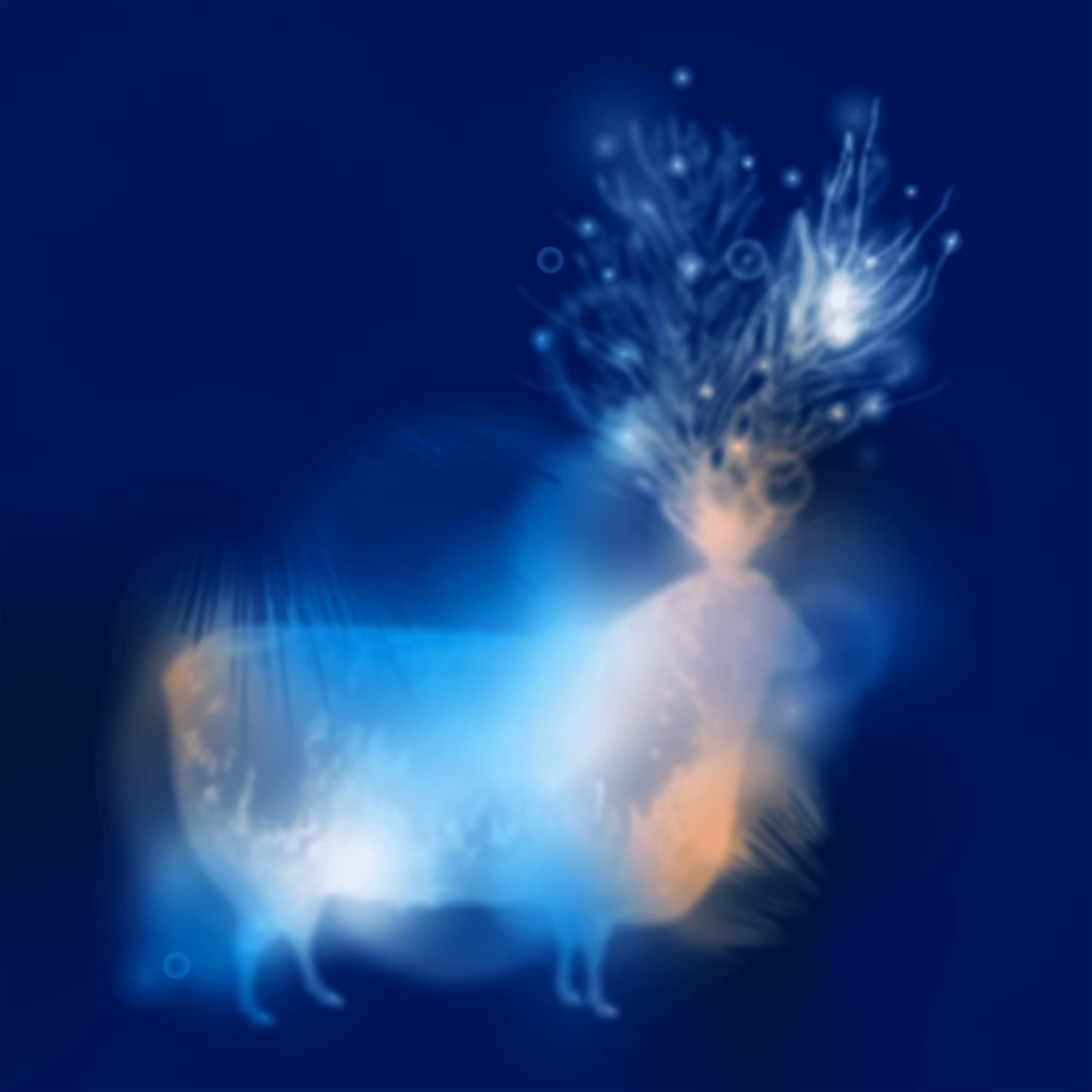 Quantum Animal QS0058E6KD