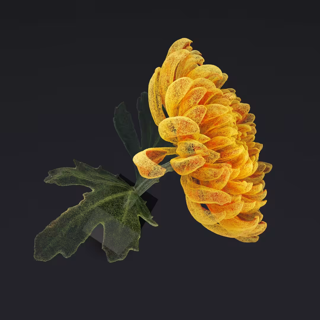 Just a flower X