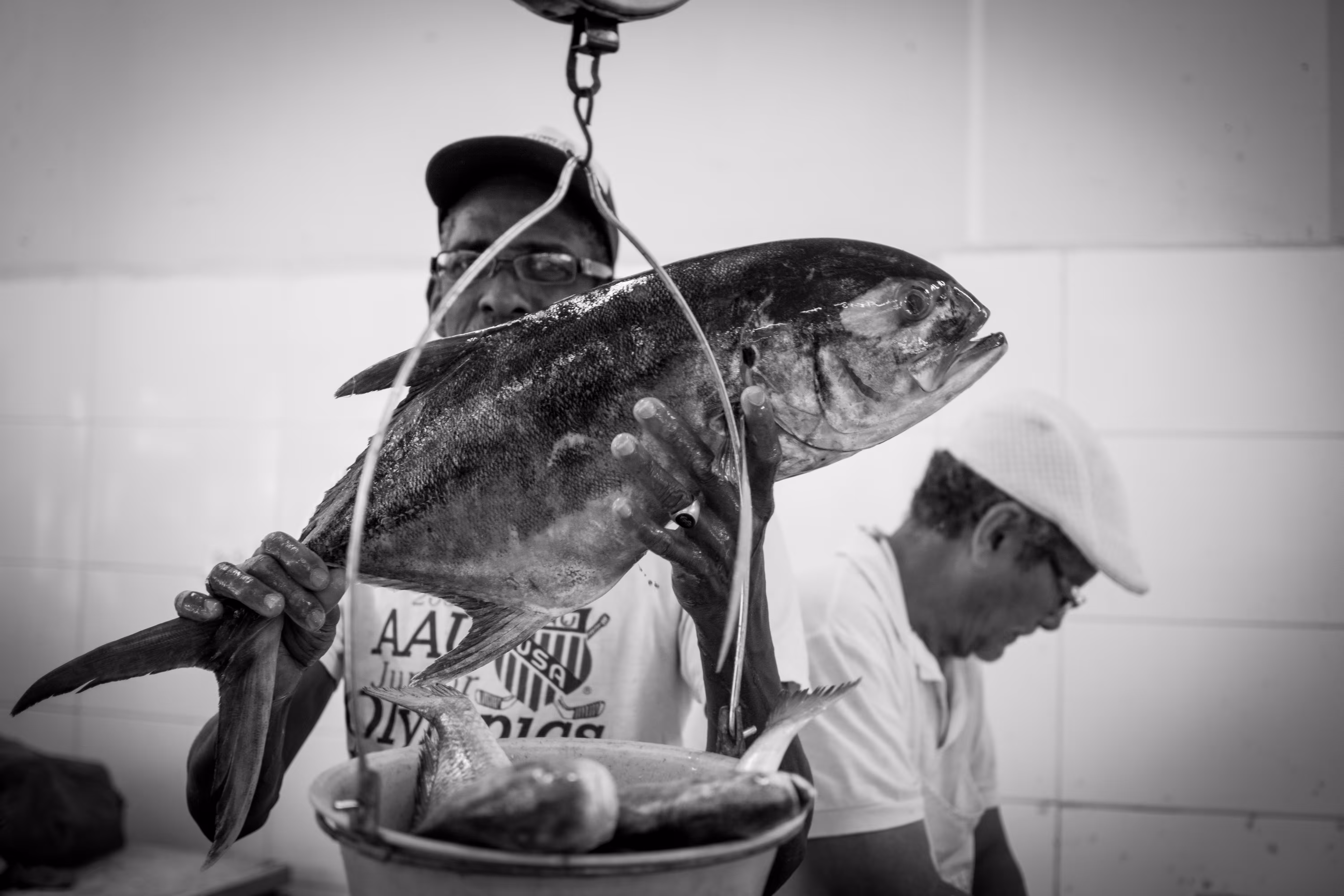 The Fish Market