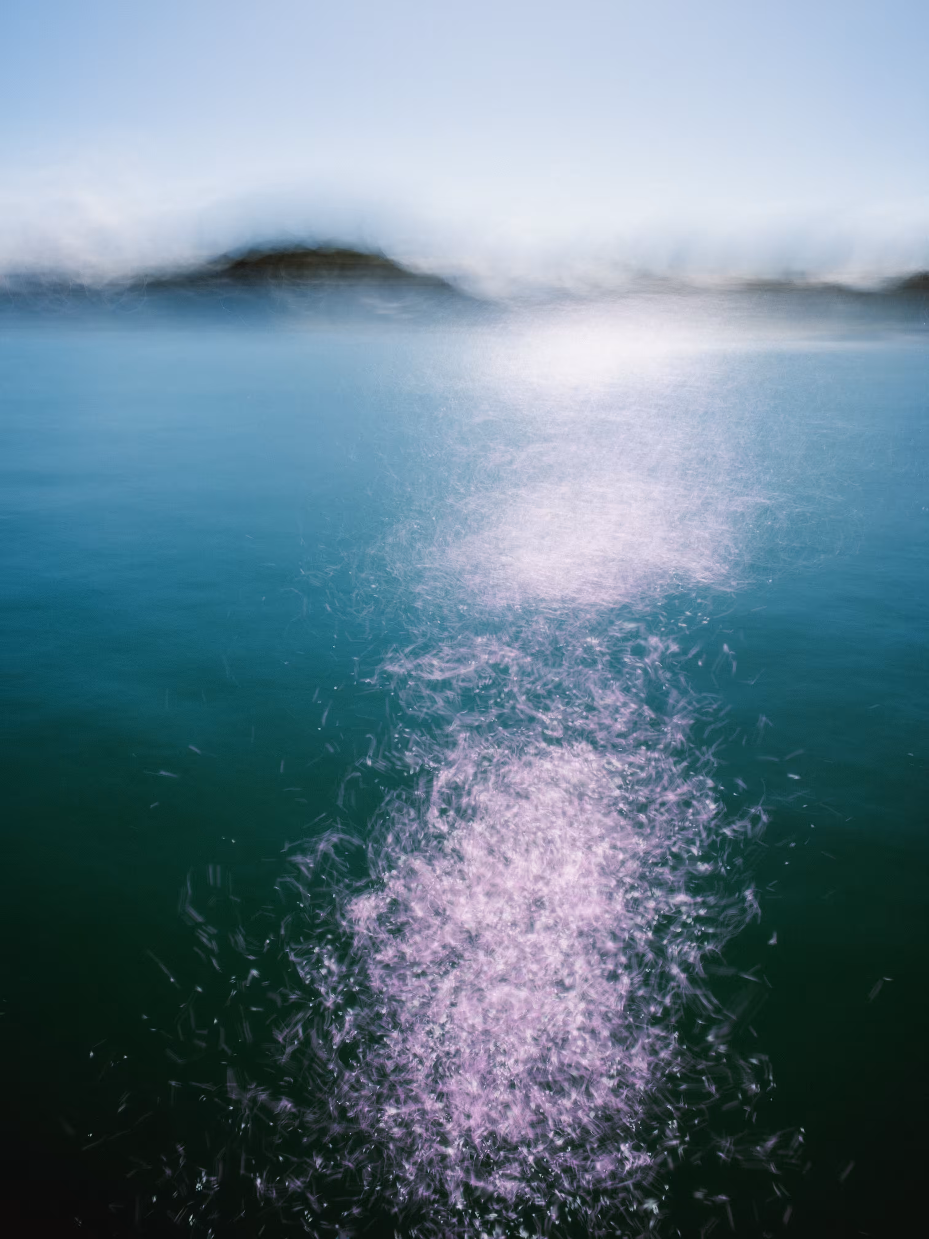 Sparkling Sea
