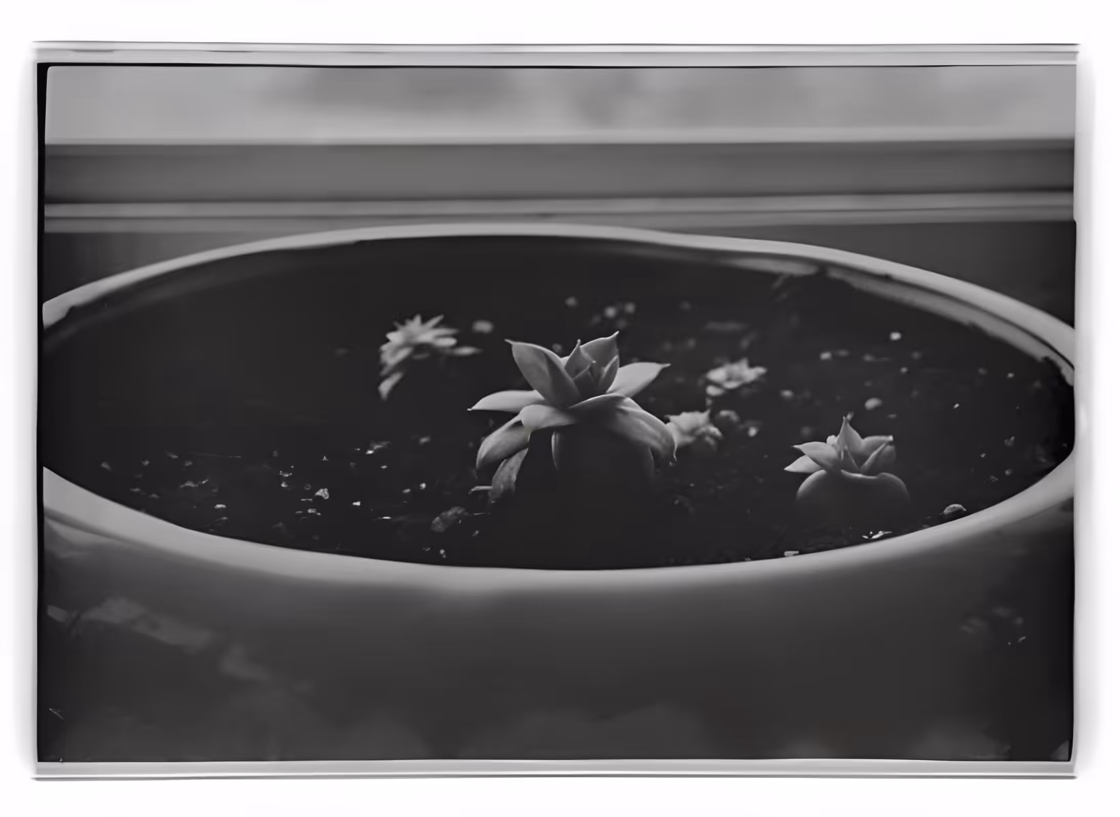 Daily Film - 8.01.2023 - 1