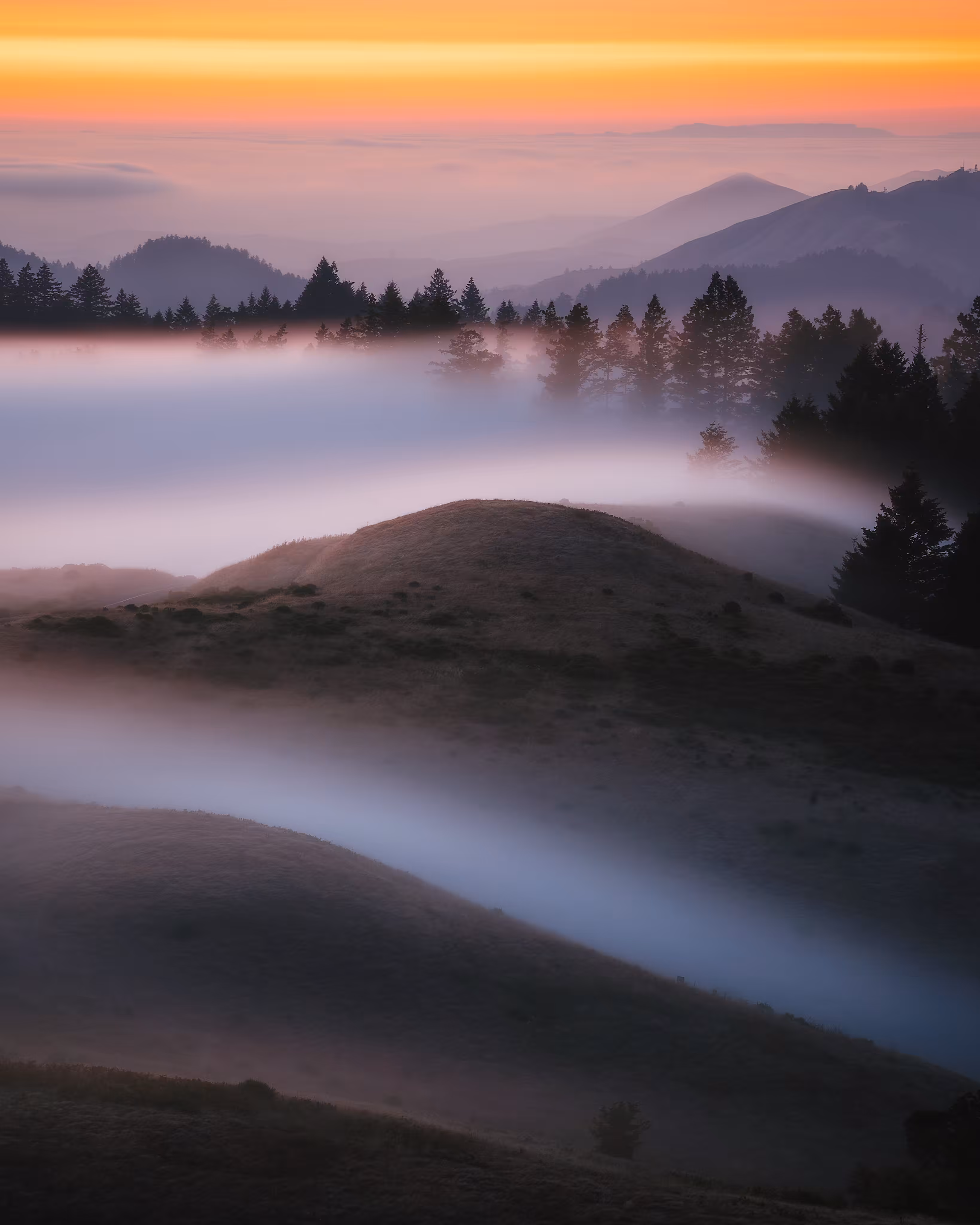 Bay Beginnings #25 // Layers of Tam