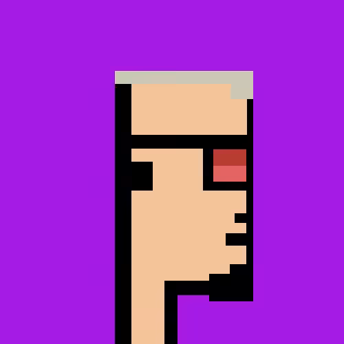 Crypto Half Punk #1