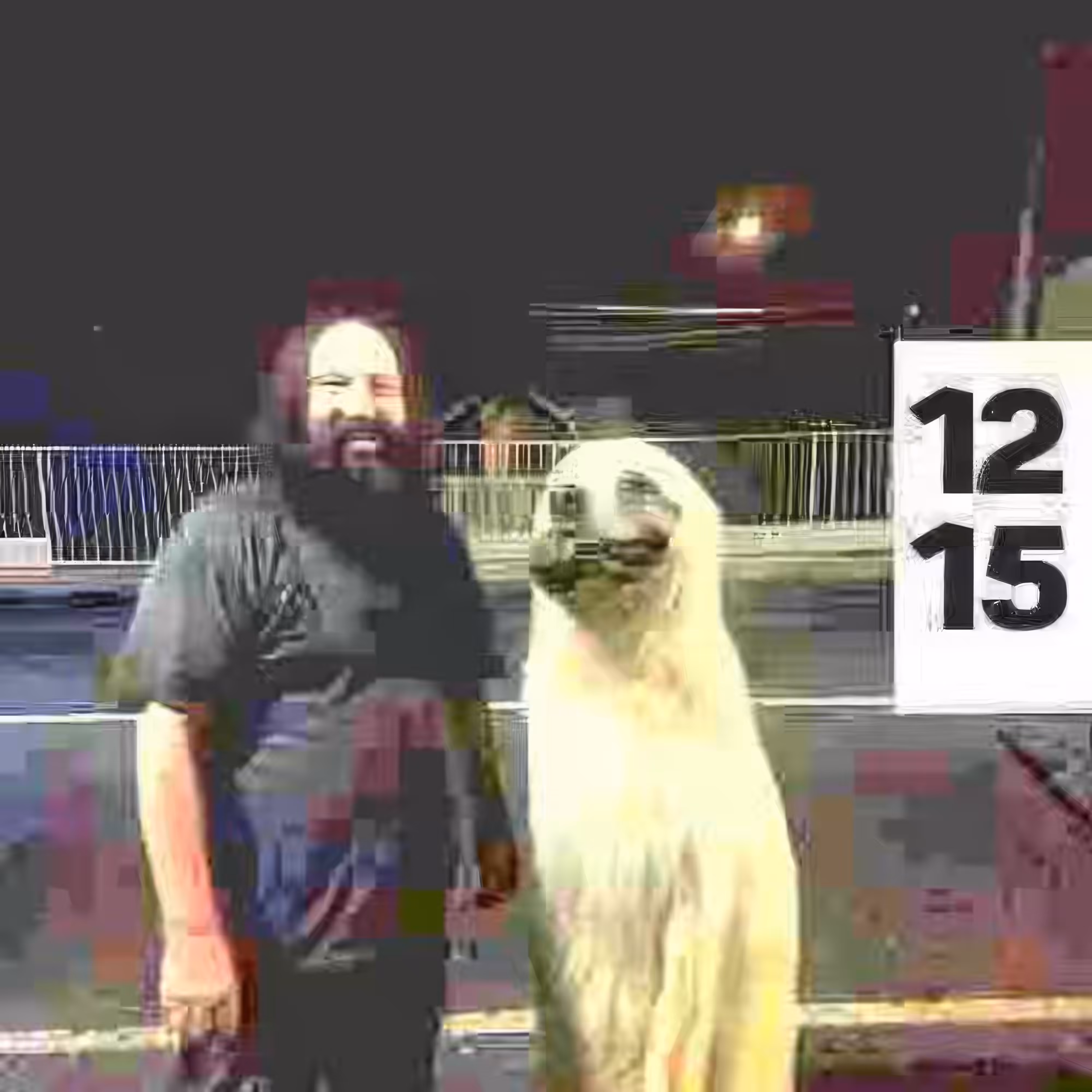 BAD JPEGs: Man-and-Dog