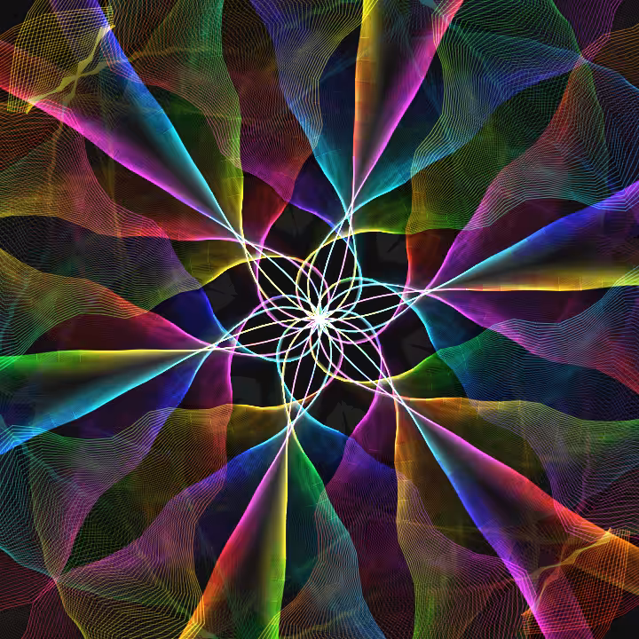 tp5_211231_LinesFlower