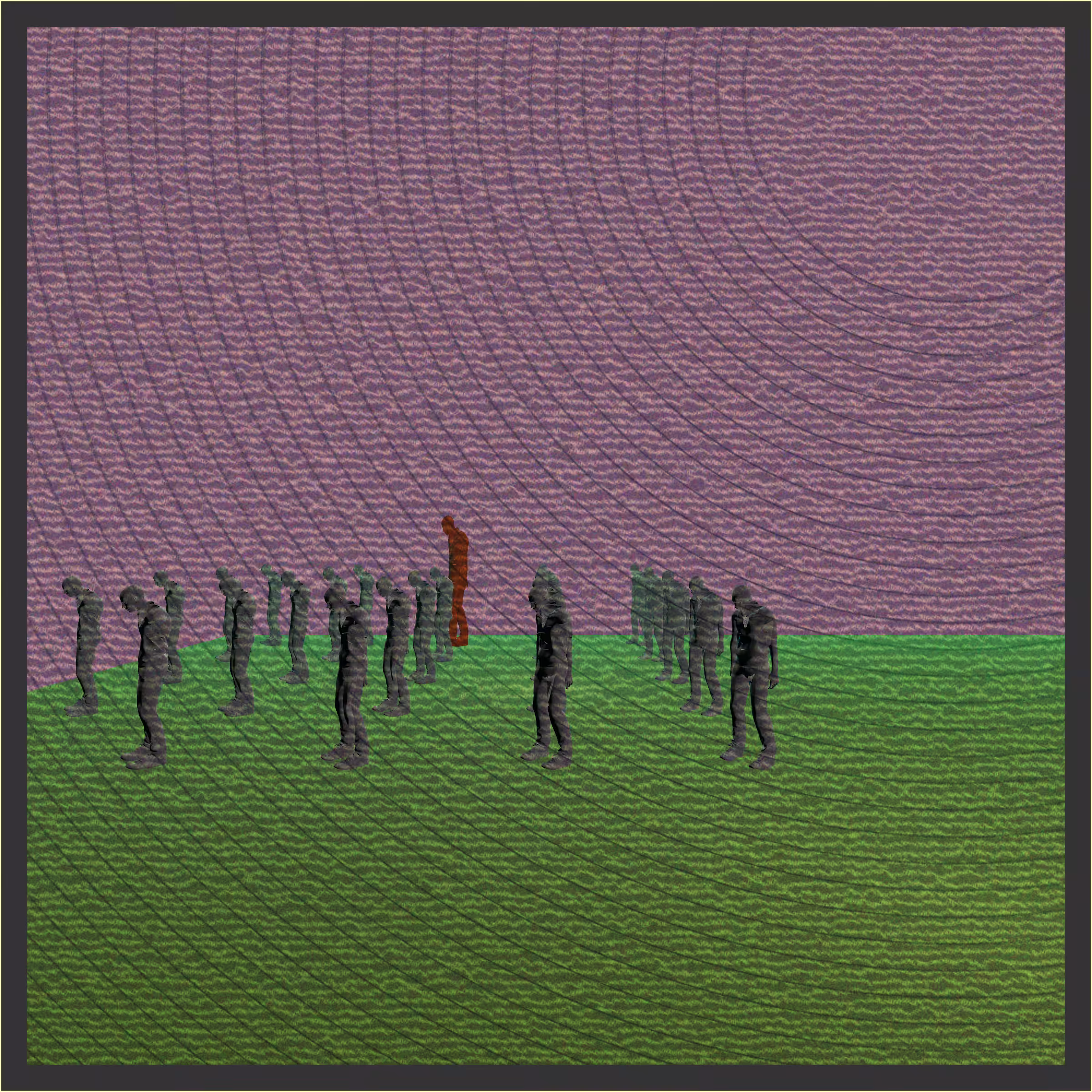 The Tallest Poppy #3