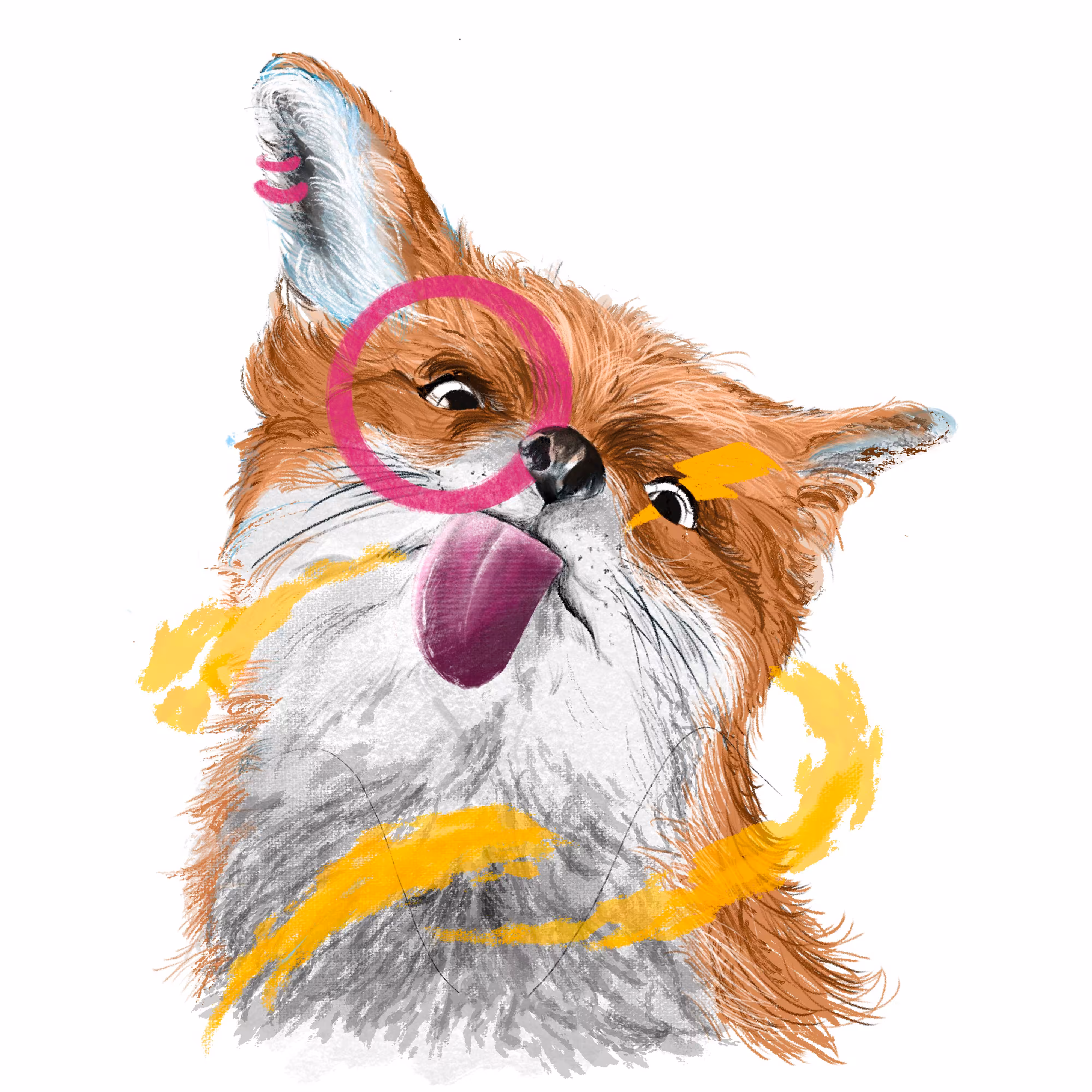 Crazy Fox