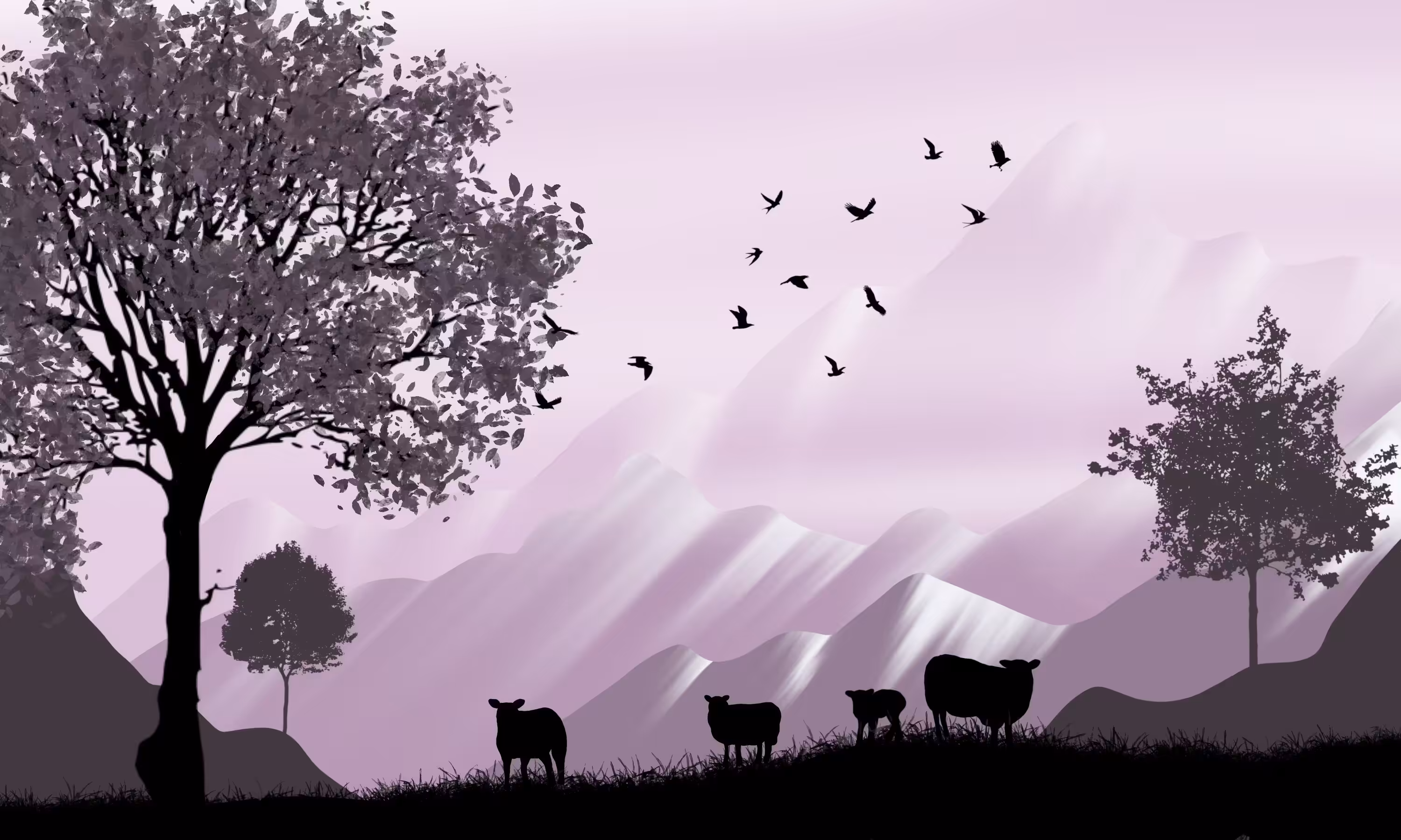black sheep in nature