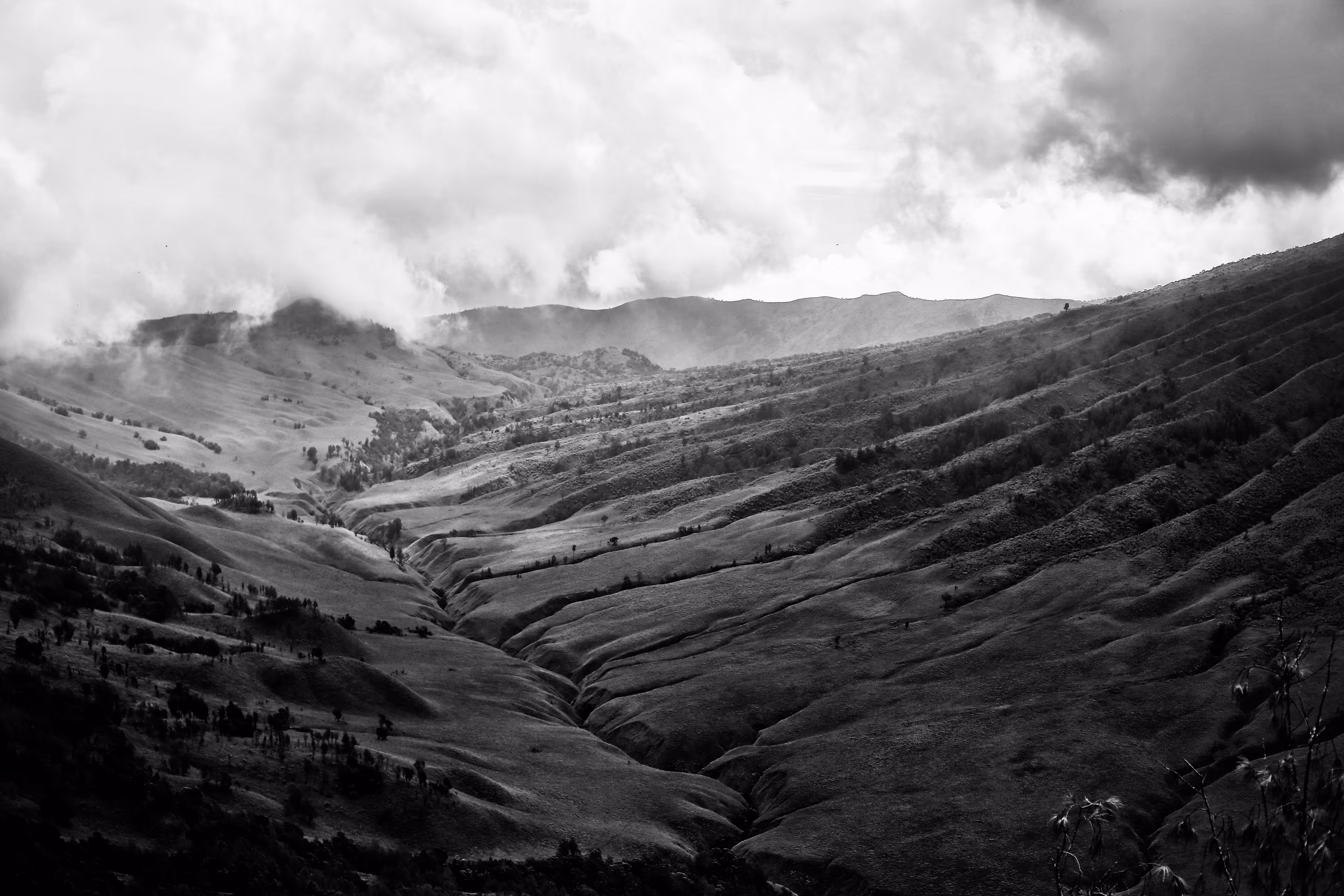 The View Near Mt. Bromo