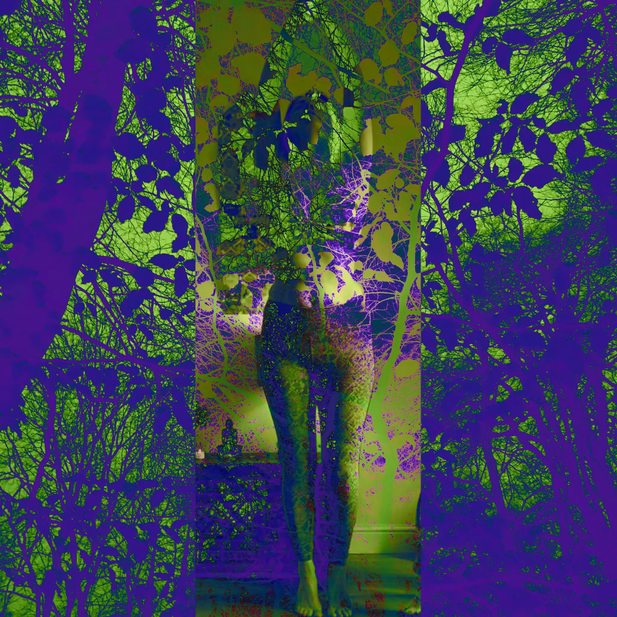 Dark Forest #2